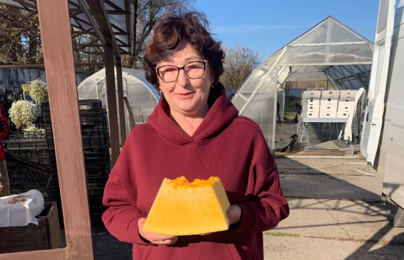 Звенигород, сельское хозяйство, Люди,