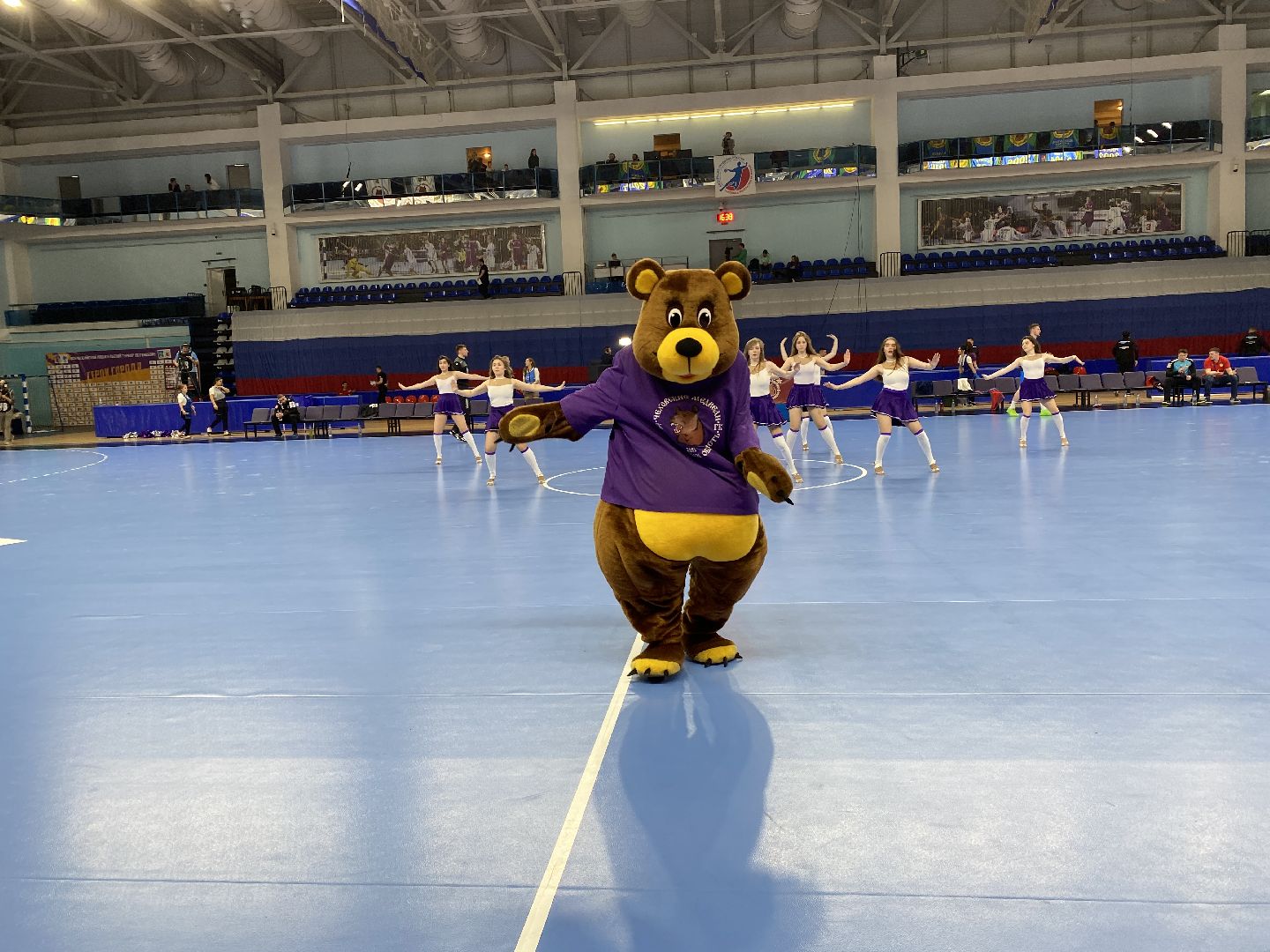 Чеховские медведи, спорт, Чехов, ЦСКА, гандбол