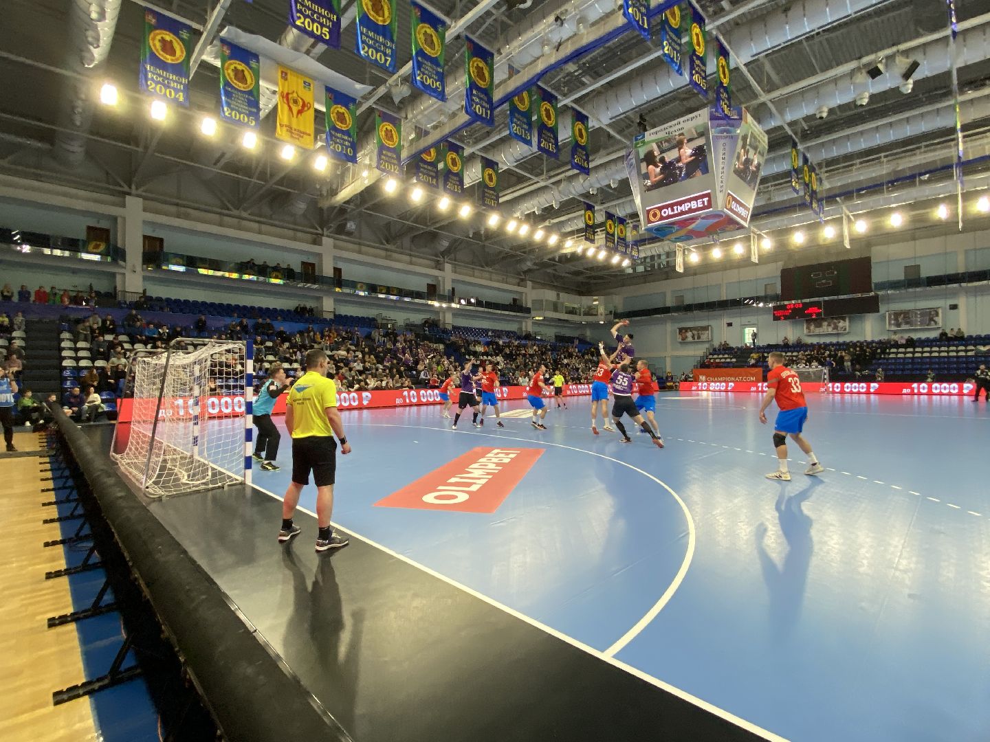 Чеховские медведи, спорт, Чехов, ЦСКА, гандбол