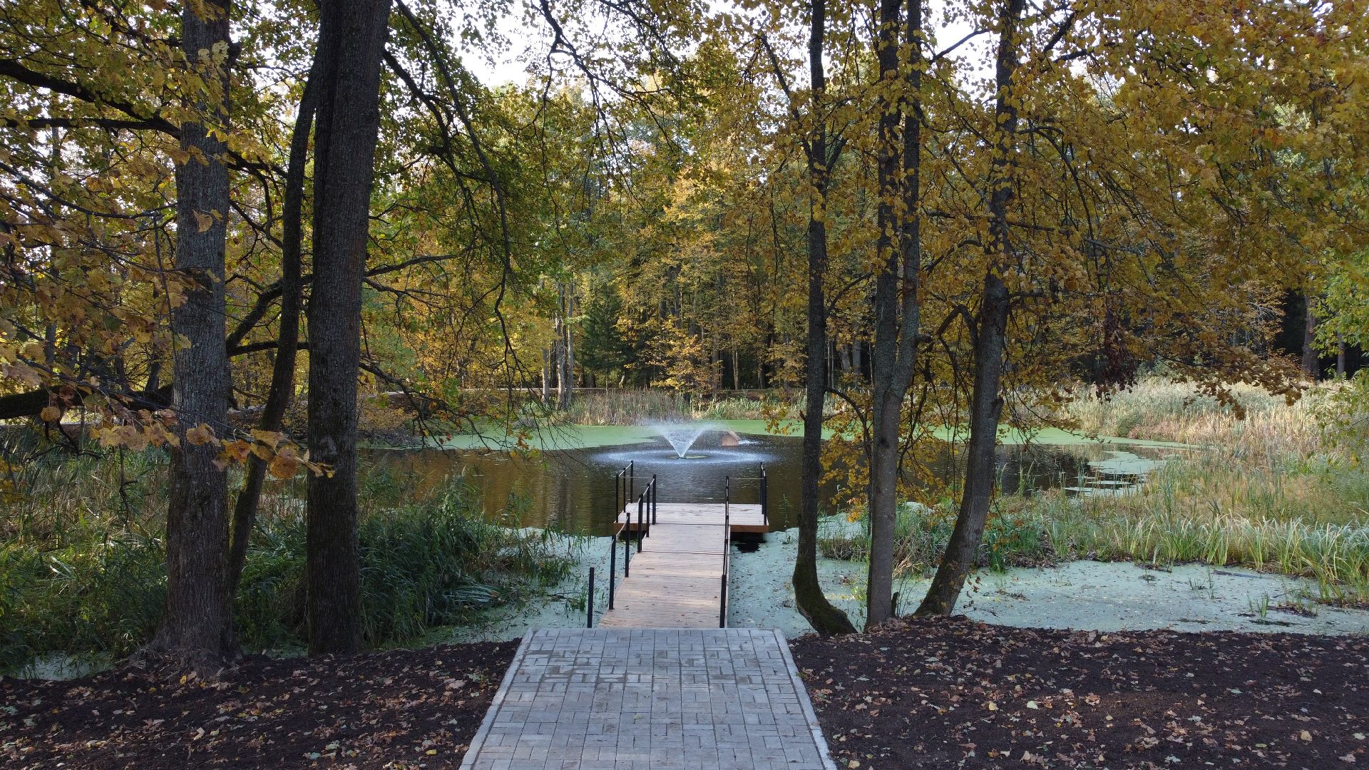 видео с коптера, солнечногорск, культура, реставрация, усадьба,