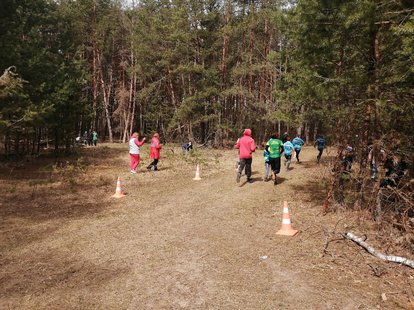протвинские сосны, спортивное ориентирование, Протвино, спорт, дюц горизонт