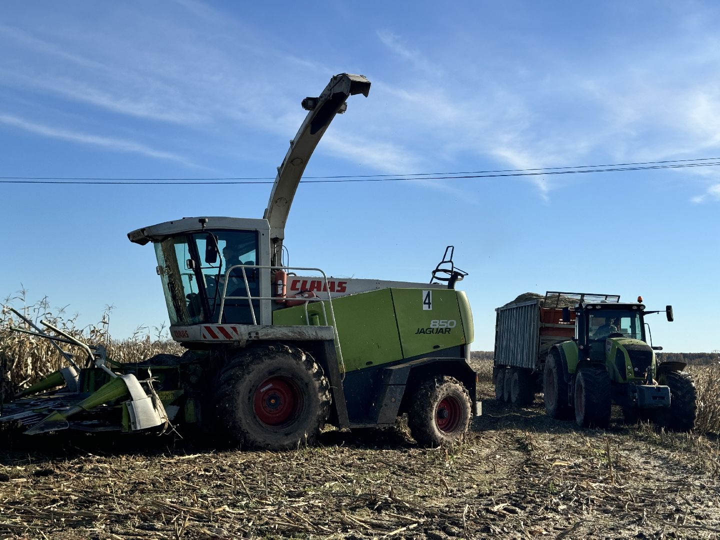 шаховская, сельское хозяйство, урожай,уборка урожая, кукуруза,