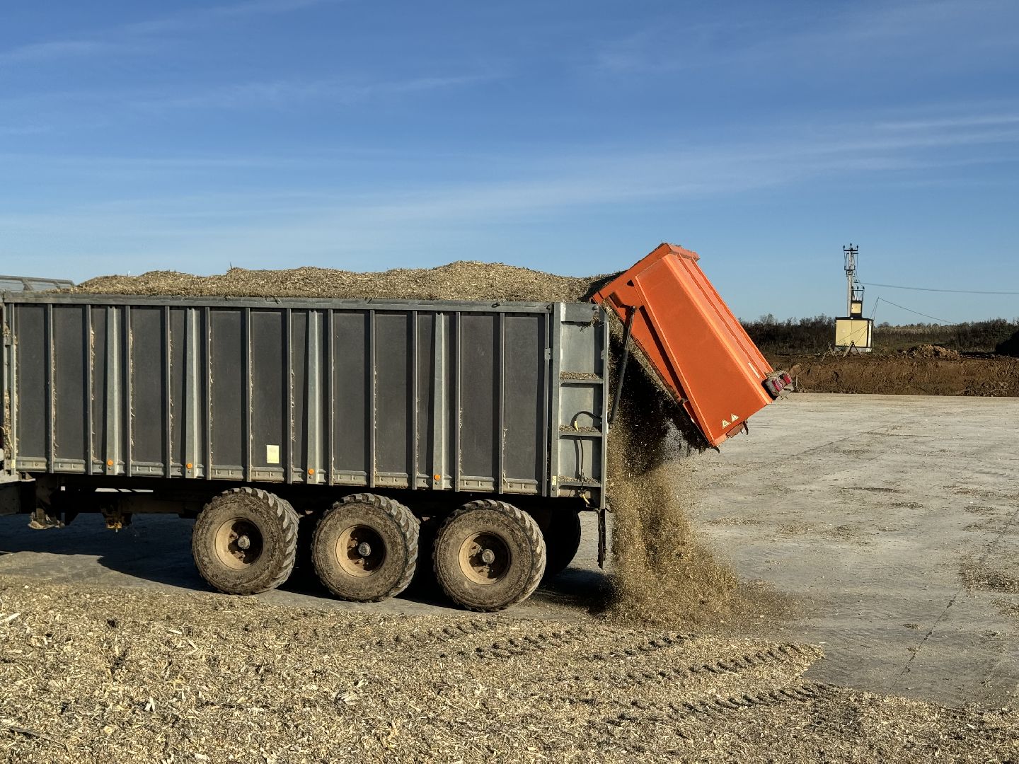 шаховская, сельское хозяйство, урожай,уборка урожая, кукуруза,