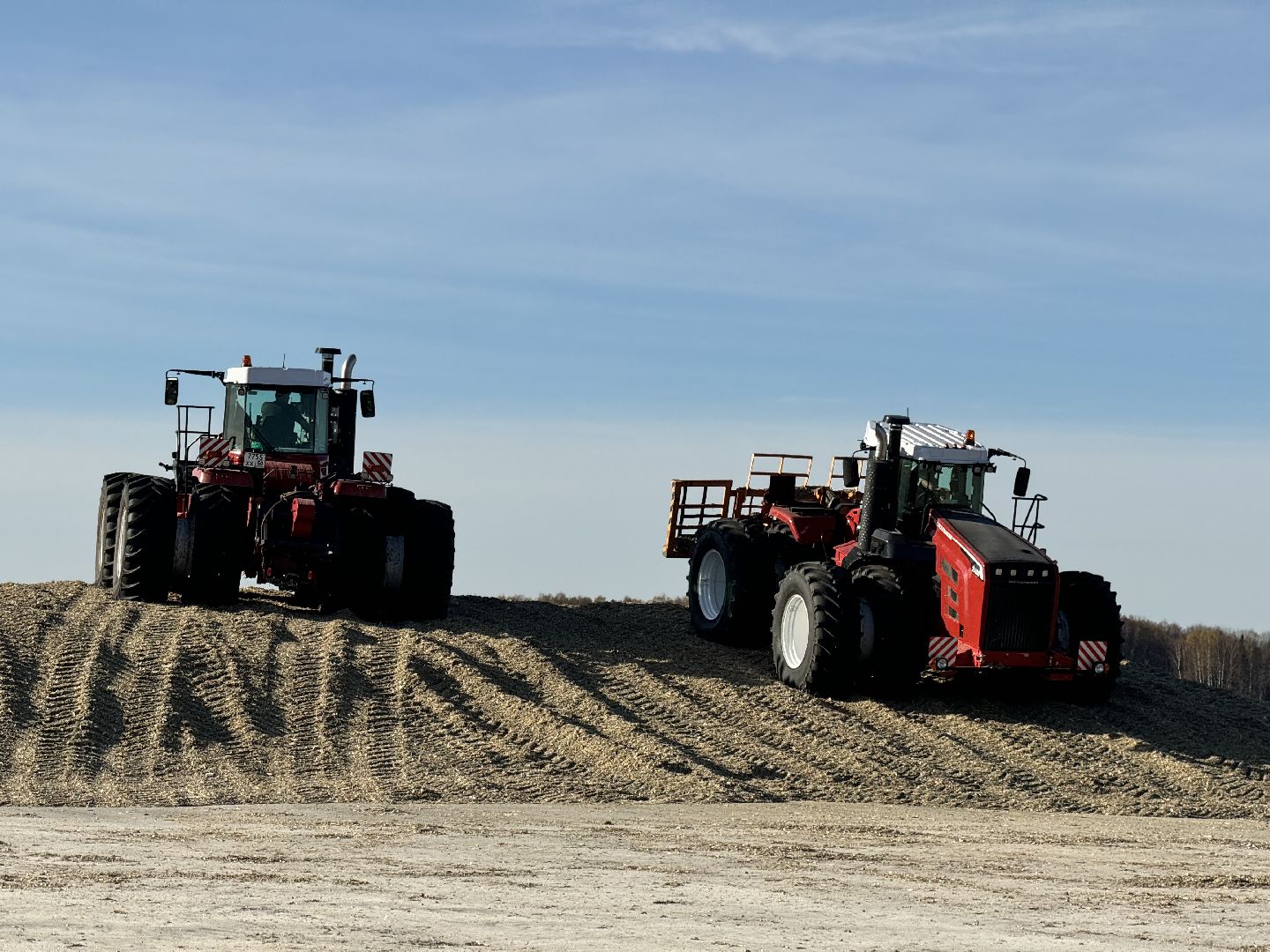 шаховская, сельское хозяйство, урожай,уборка урожая, кукуруза,