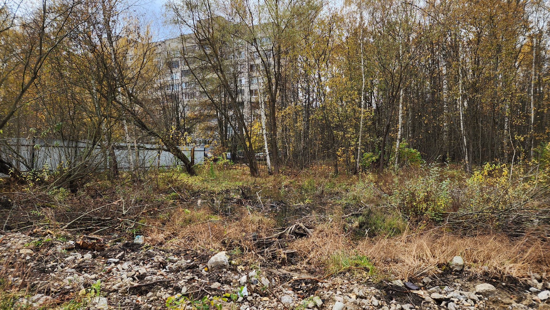 стоянка, парковка, встреча с жителями, обход территорий, протвино,