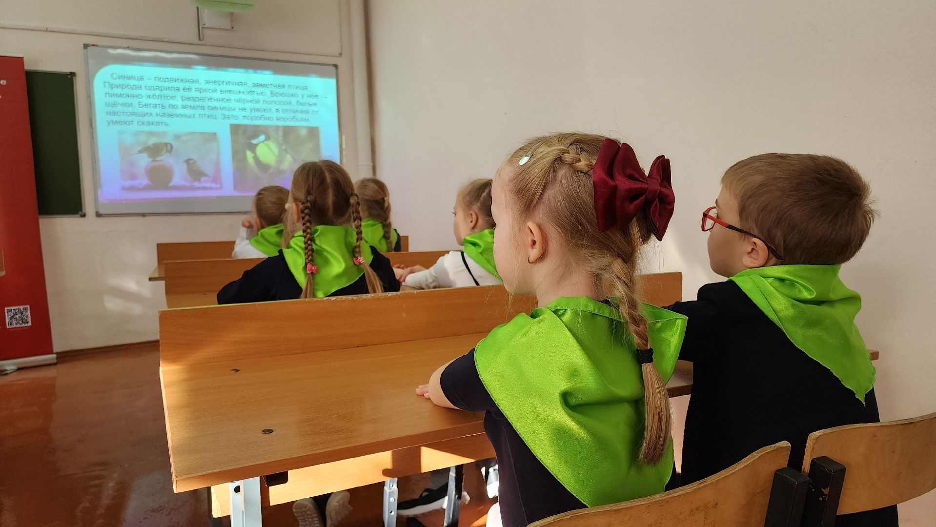 кашира, юннаты, движение первых,