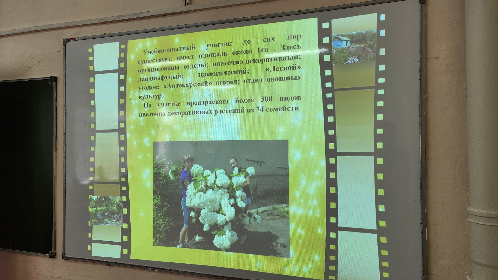 кашира, юннаты, движение первых,