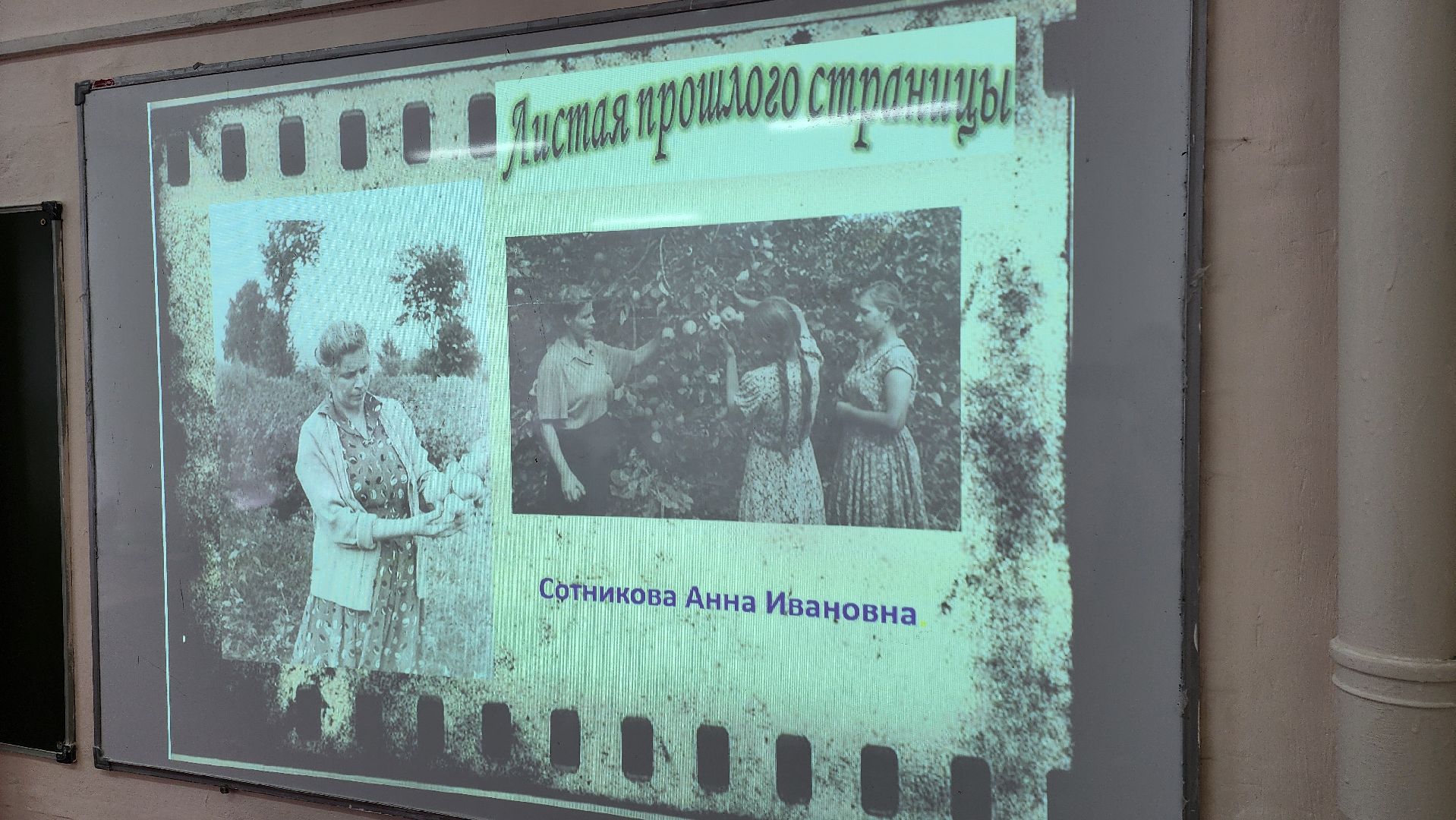 кашира, юннаты, движение первых,