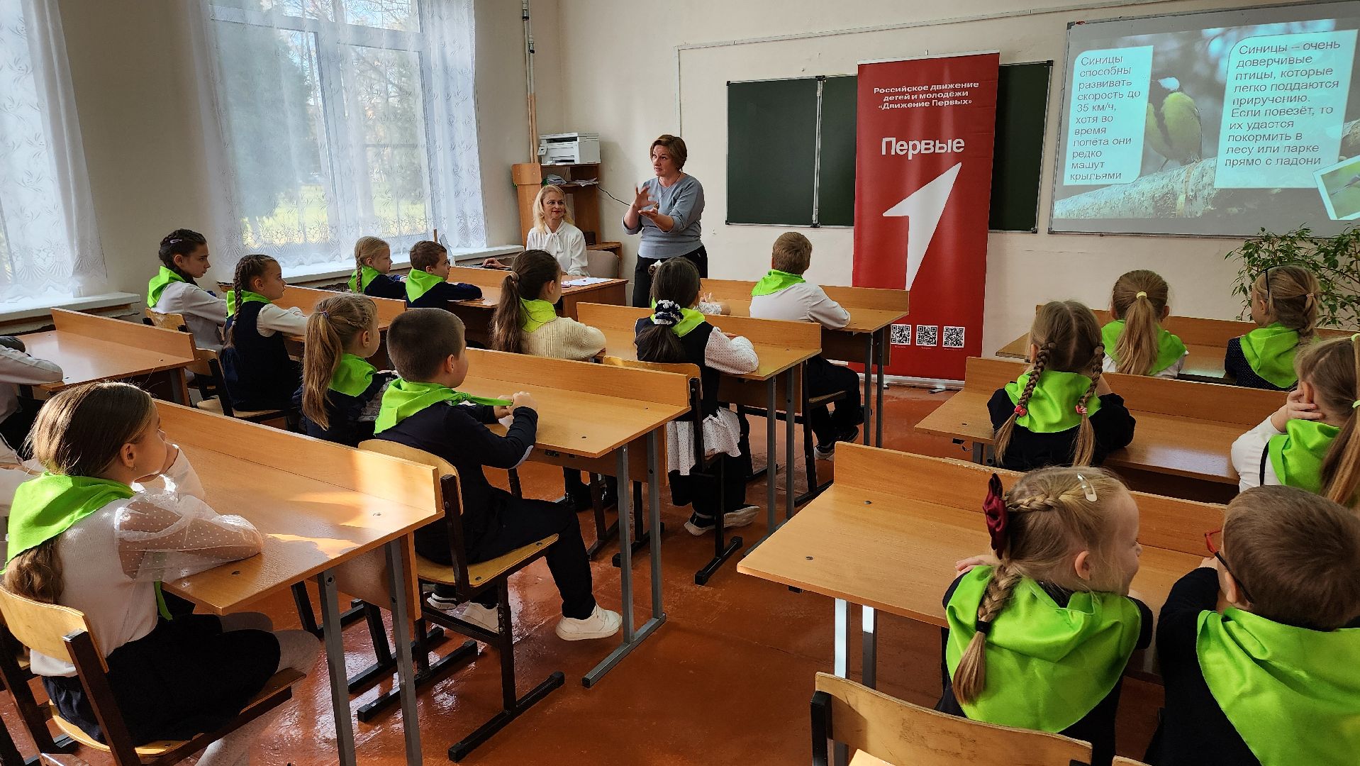 кашира, юннаты, движение первых,