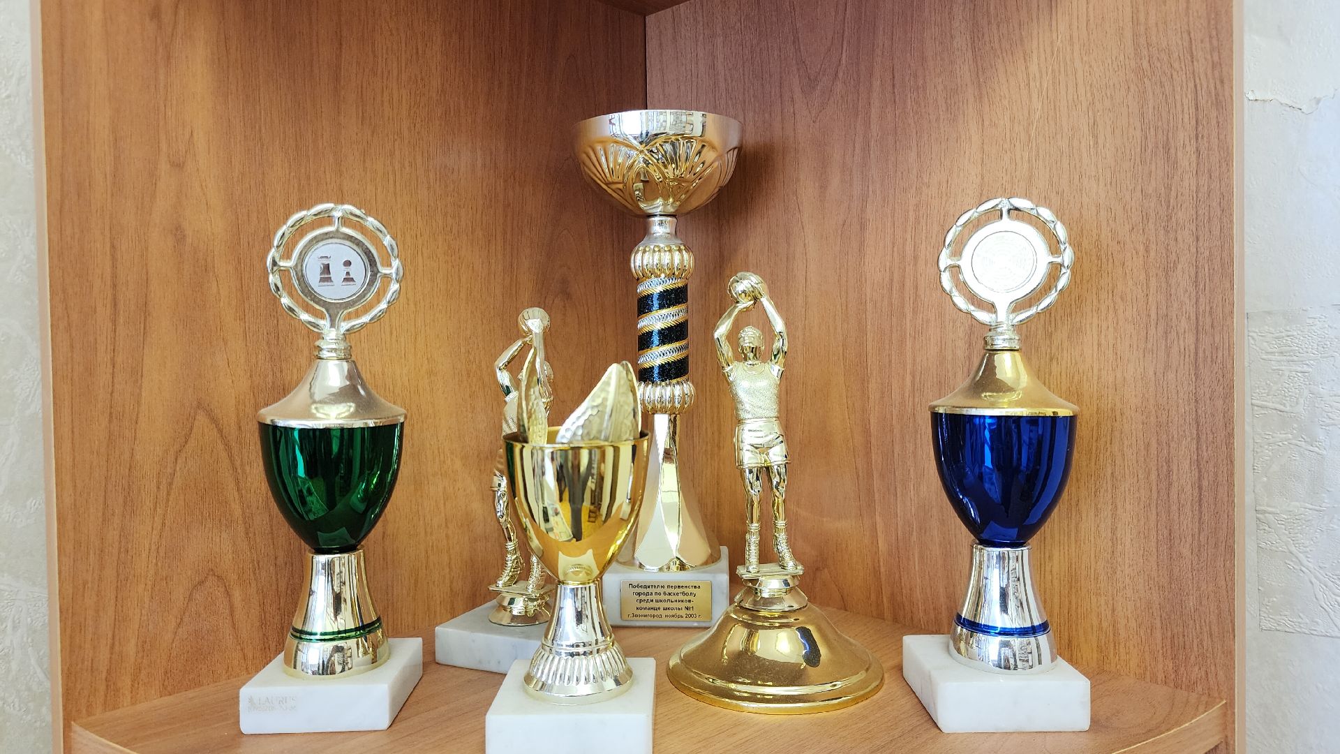 Звенигород, образование в подмосковье, Школьное лидерство,