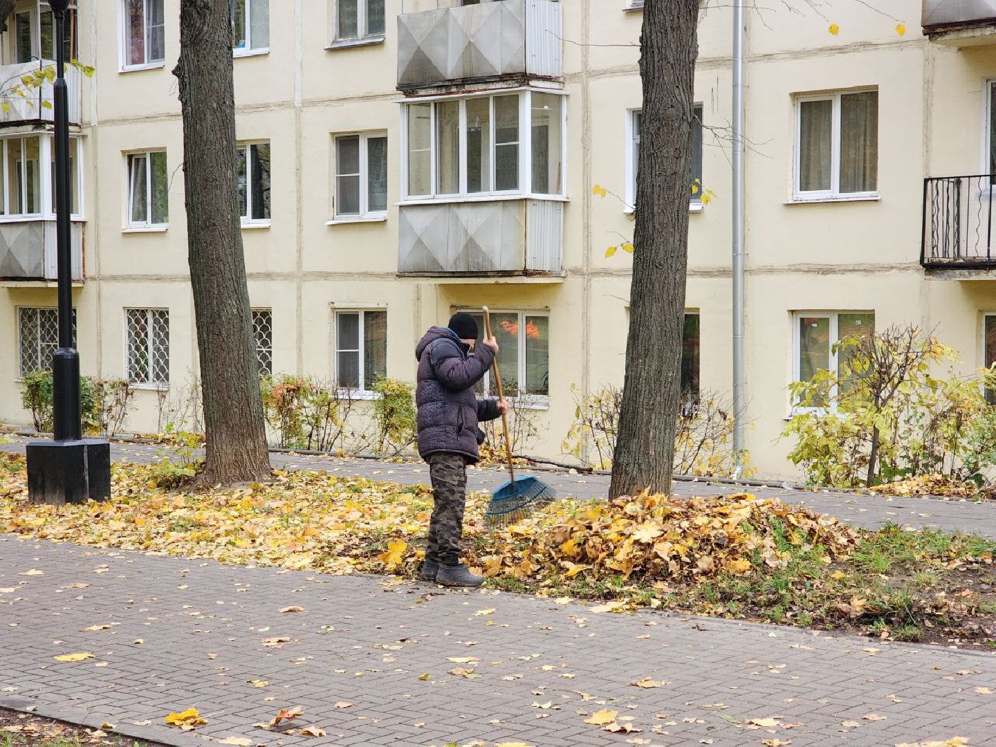 пущино, серпухов, благоуйстройство,