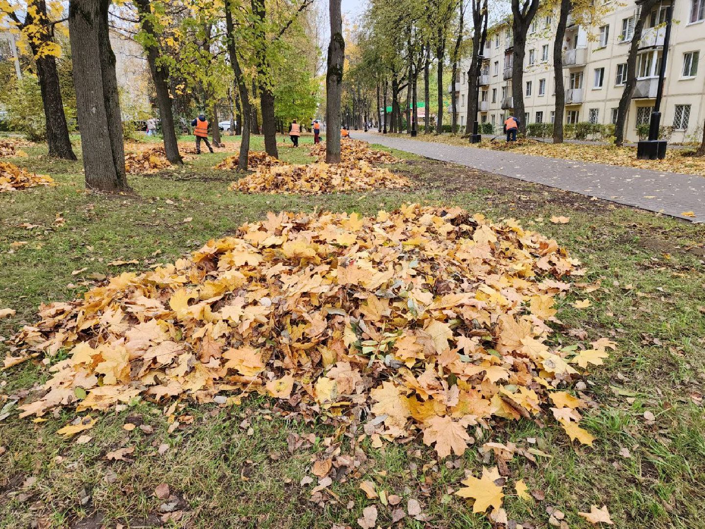 пущино, серпухов, благоуйстройство,