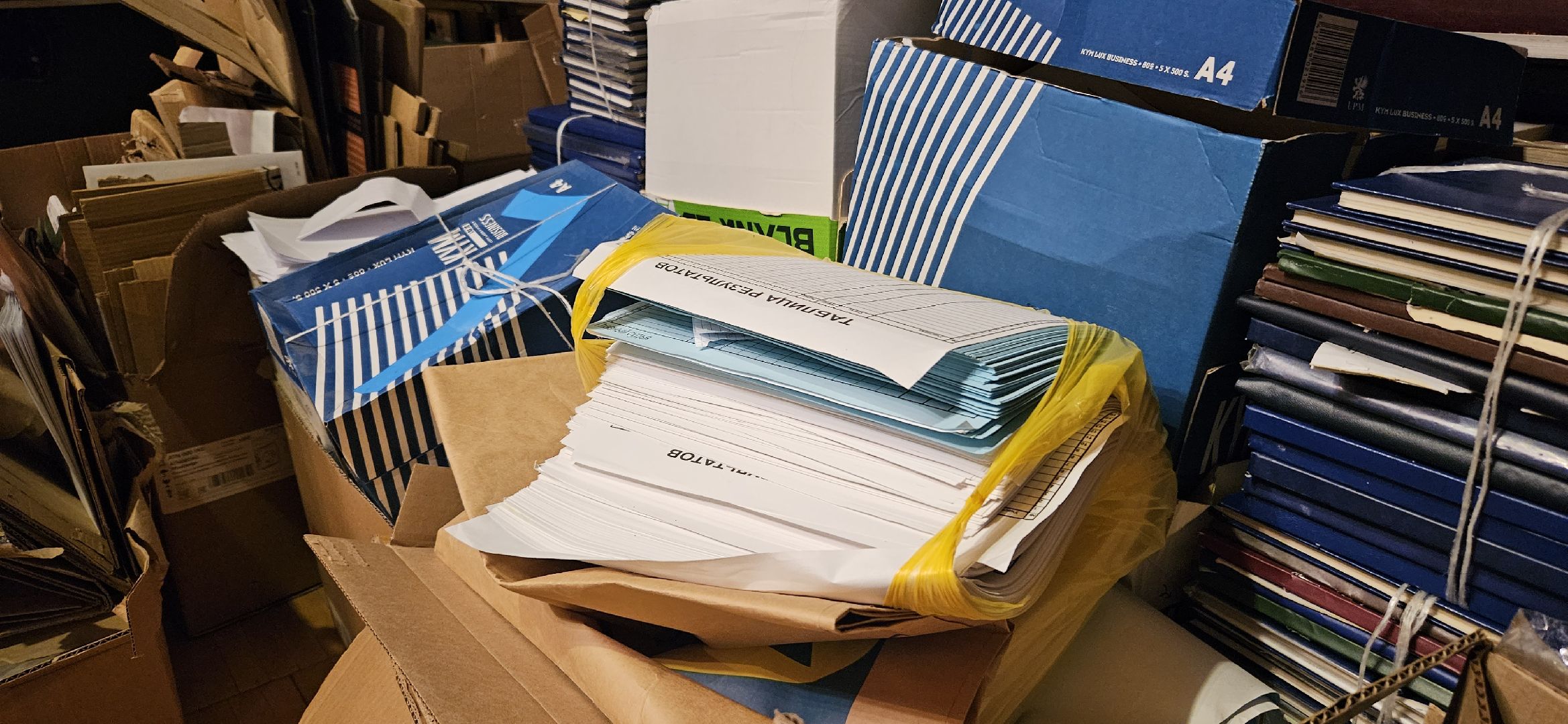 волонтеры, Жуковский, сбор макулатуры, БумБатл, экология, школа,