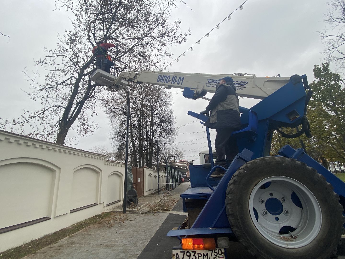 Деревья, Ветки, Рабочие, спиливание веток,