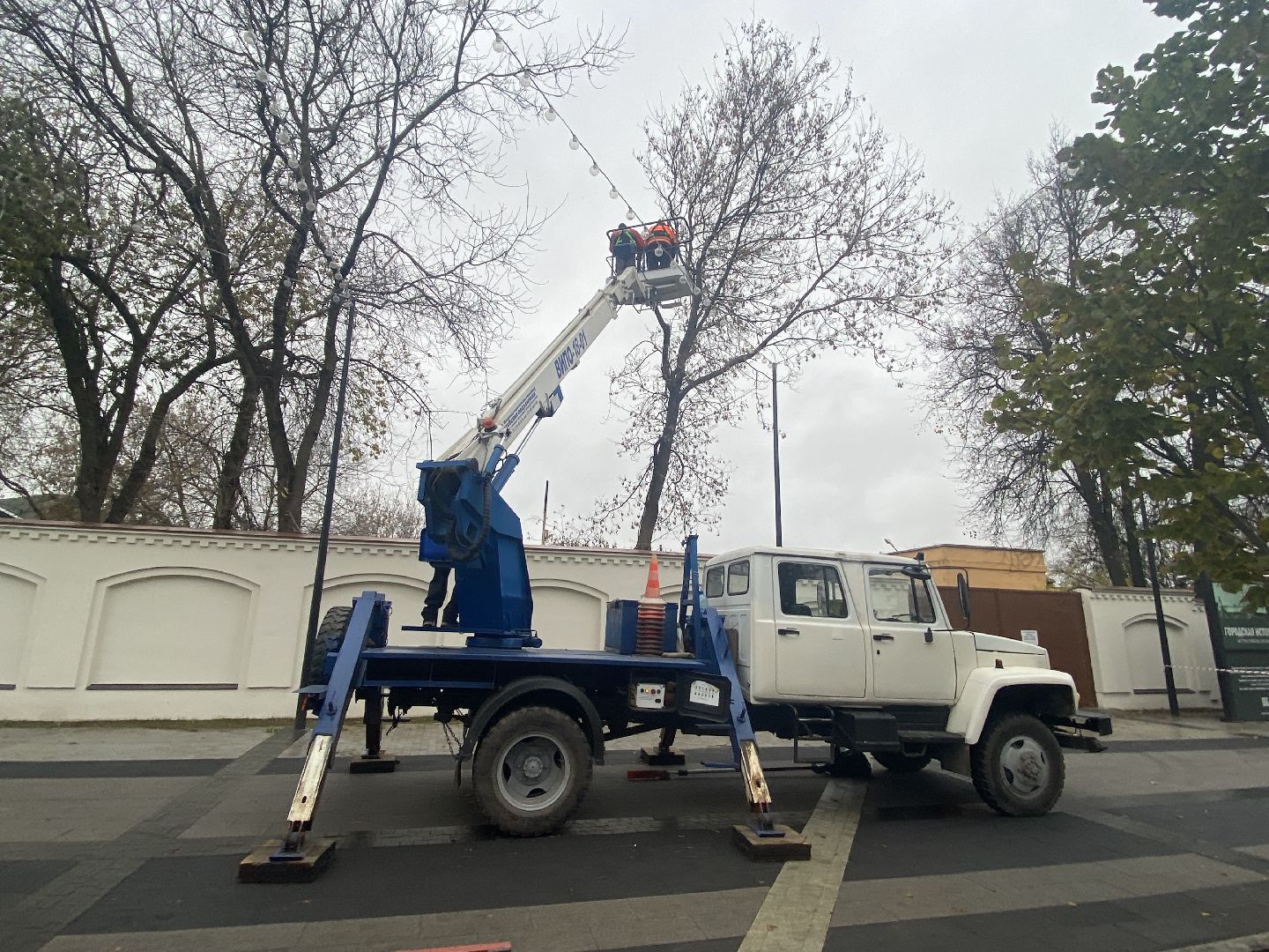 Деревья, Ветки, Рабочие, спиливание веток,