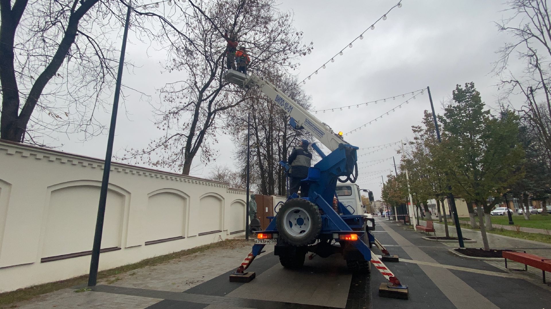 Деревья, Ветки, Рабочие, спиливание веток,