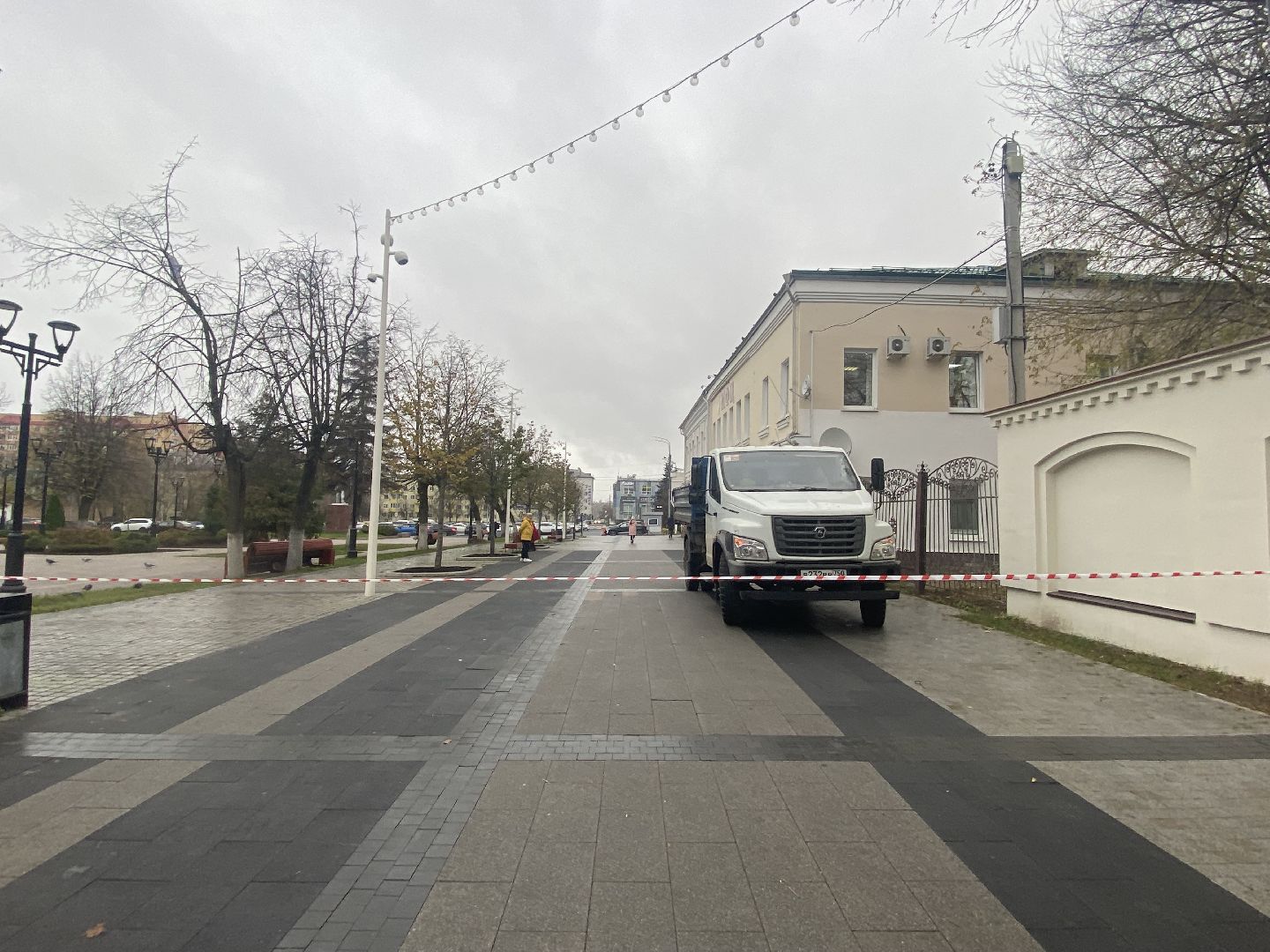 Деревья, Ветки, Рабочие, спиливание веток,