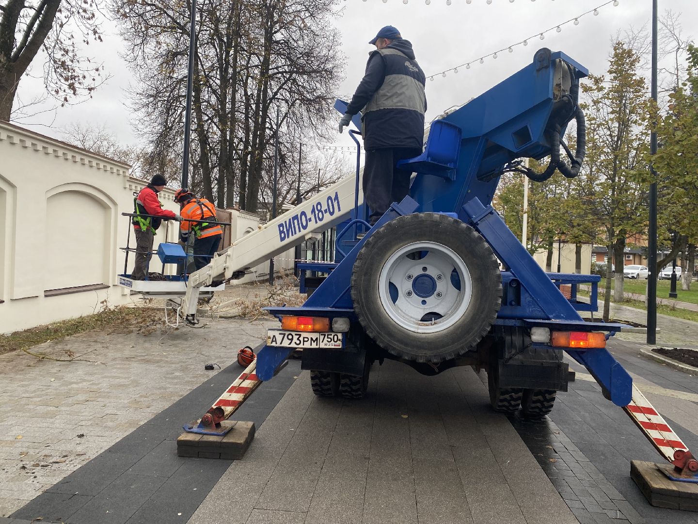 Деревья, Ветки, Рабочие, спиливание веток,