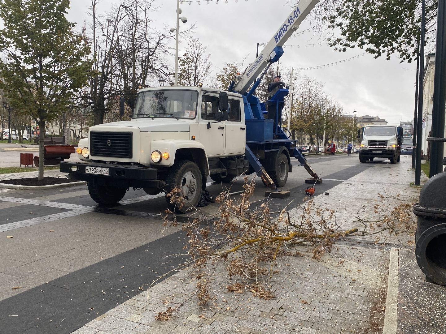 Деревья, Ветки, Рабочие, спиливание веток,