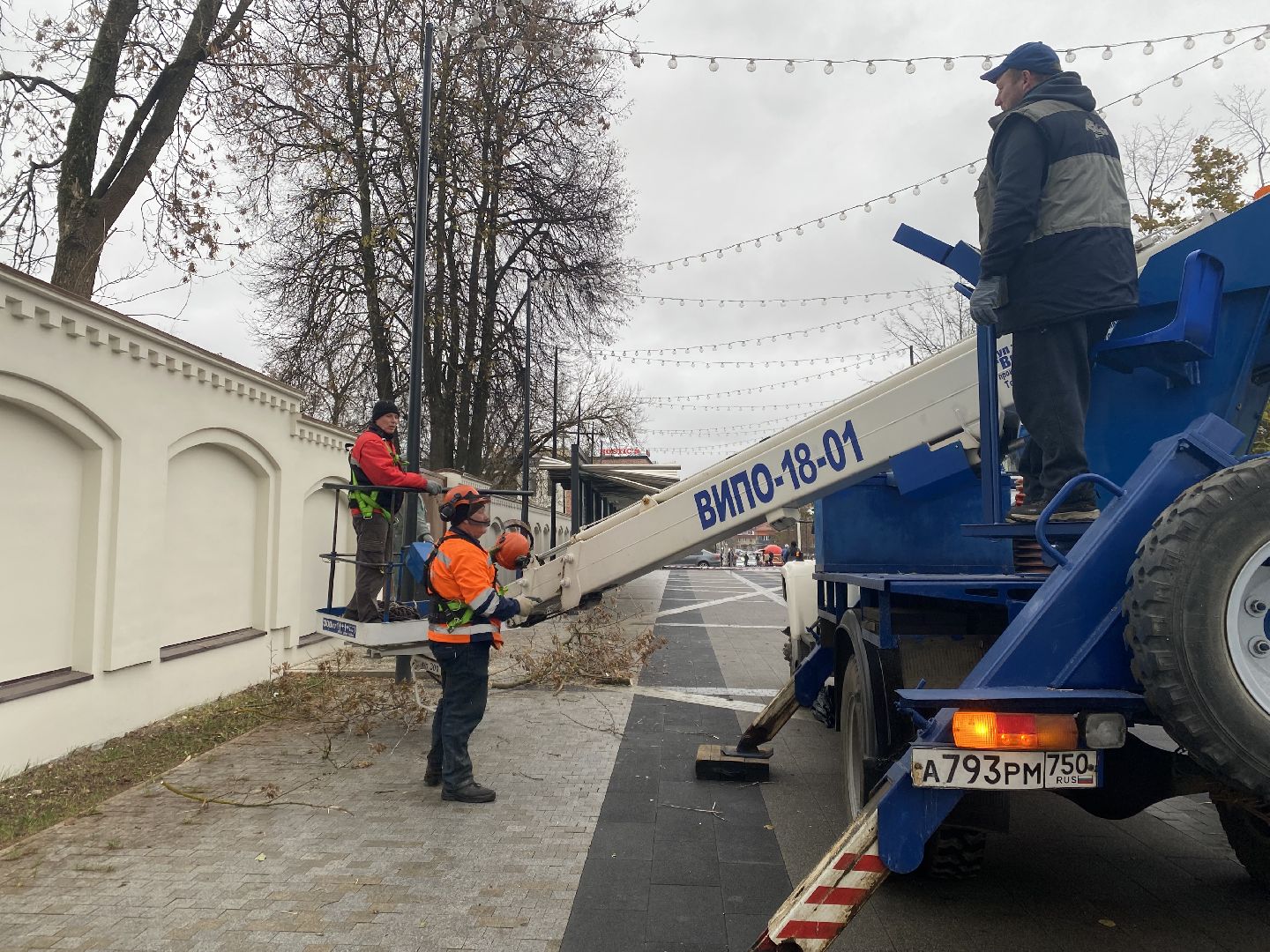 Деревья, Ветки, Рабочие, спиливание веток,