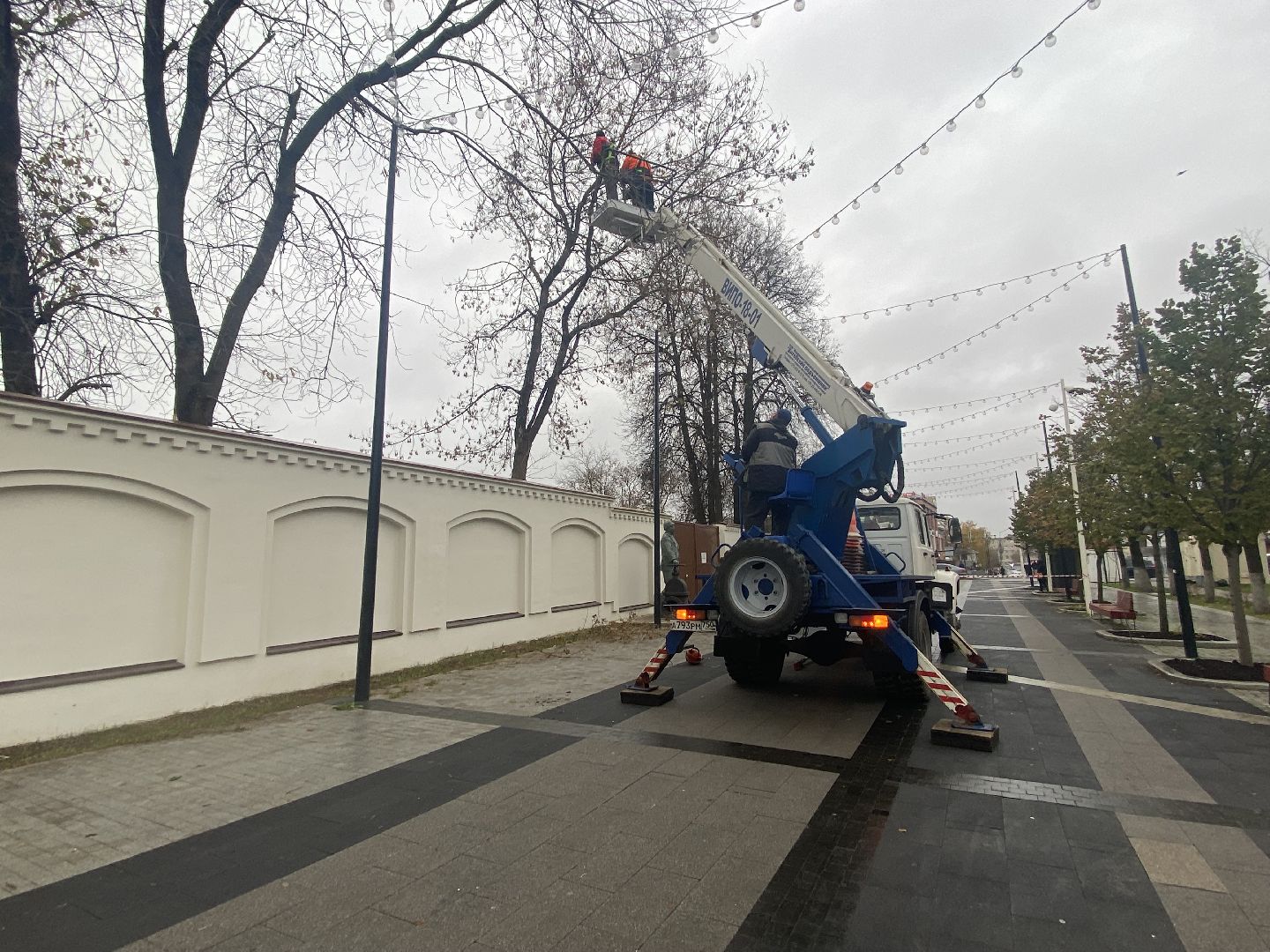 Деревья, Ветки, Рабочие, спиливание веток,