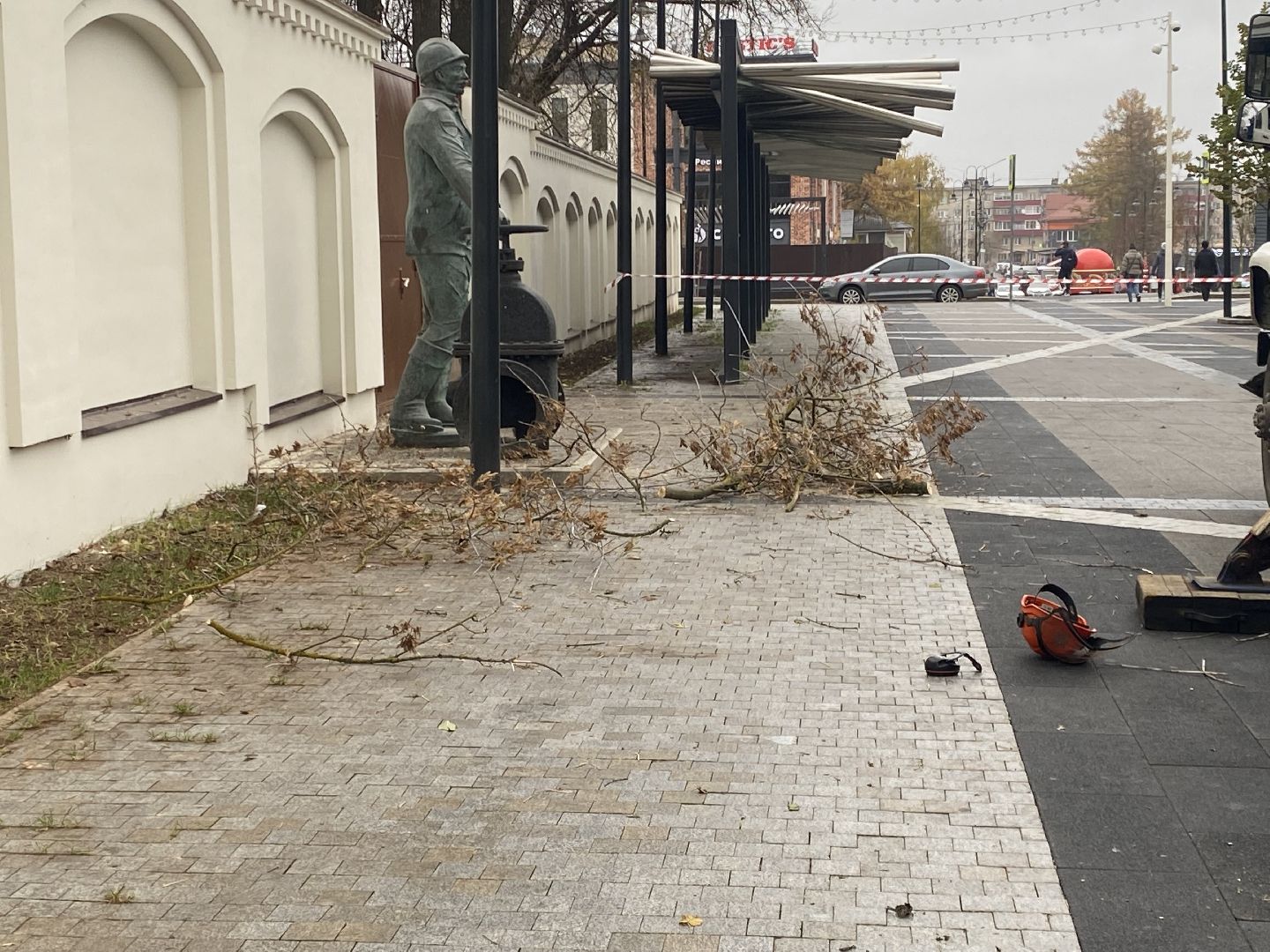 Деревья, Ветки, Рабочие, спиливание веток,