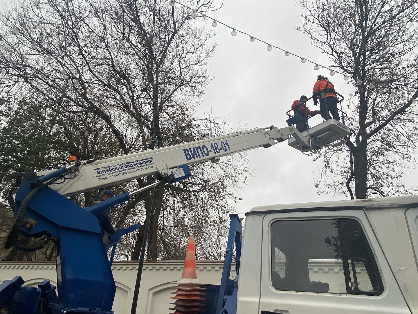 Деревья, Ветки, Рабочие, спиливание веток,