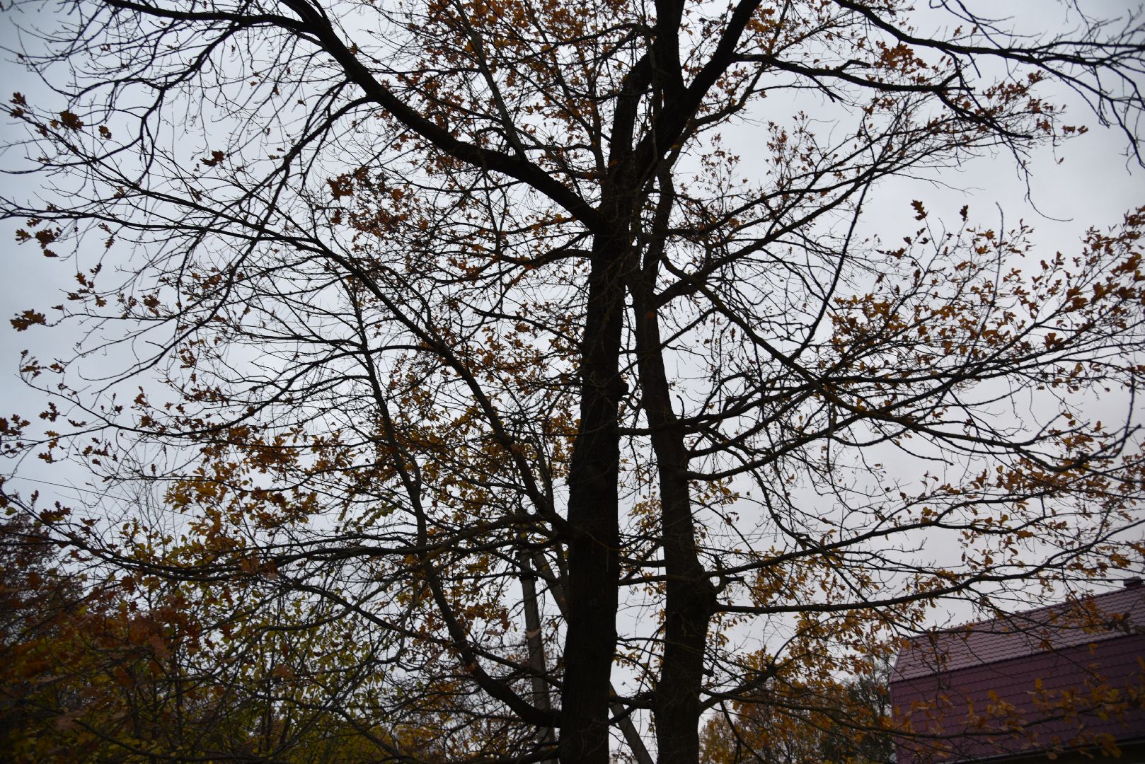 лотошино, кировский, благоустройство, выездная администрация,