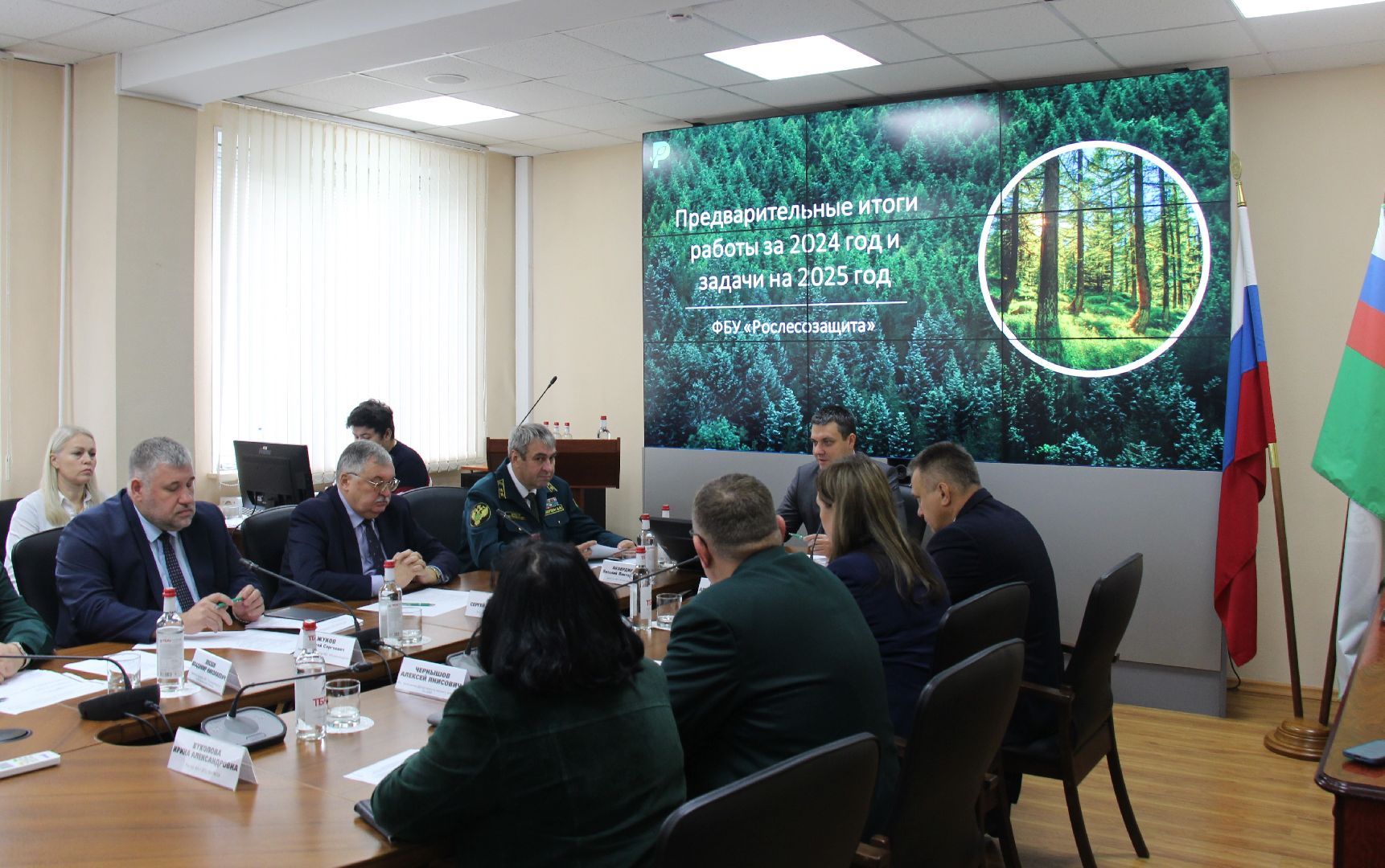 пушкино, лесное хозяйство, лесной фонд, вручение наград, лесовосстановление,