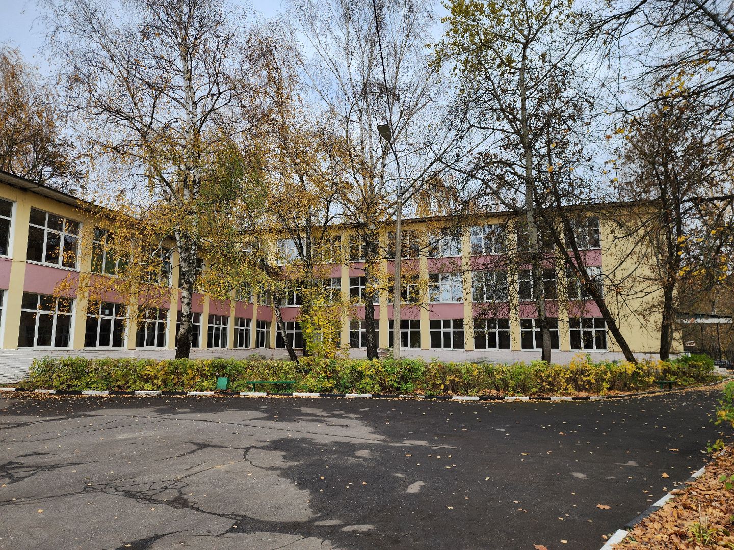 ногинск, образование, жители, общество, ученики, учителя, олимпиады, школа, центр образования,