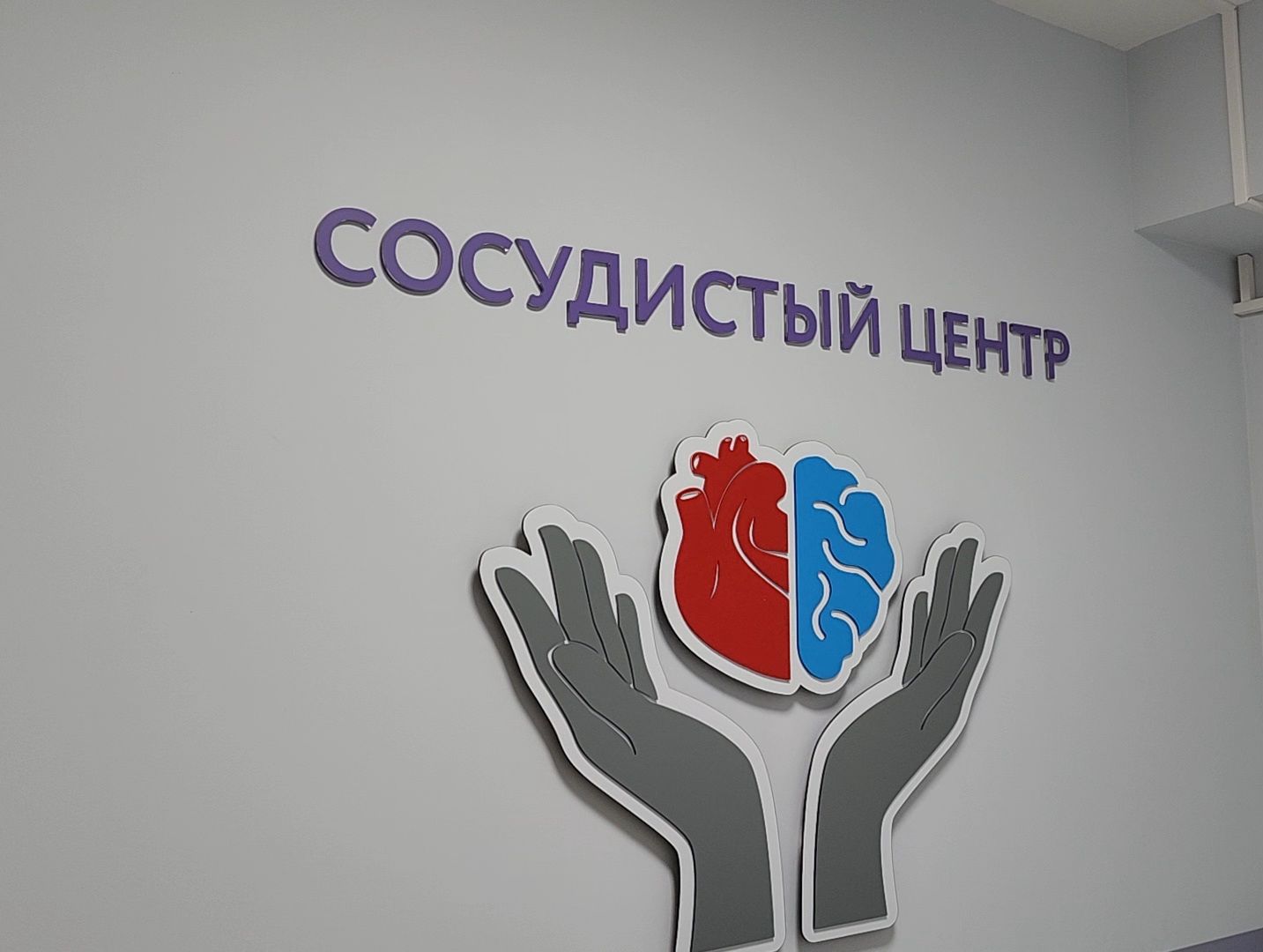 Дубна, фбуз мсч №9 фмба россии, Сосудистый центр, Операция, Профилактика инсульта,