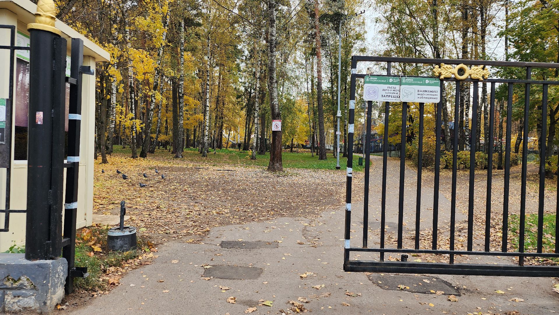туризм, пешеходный маршрут, Центральный парк, Ногинск, Богородский городской округ,