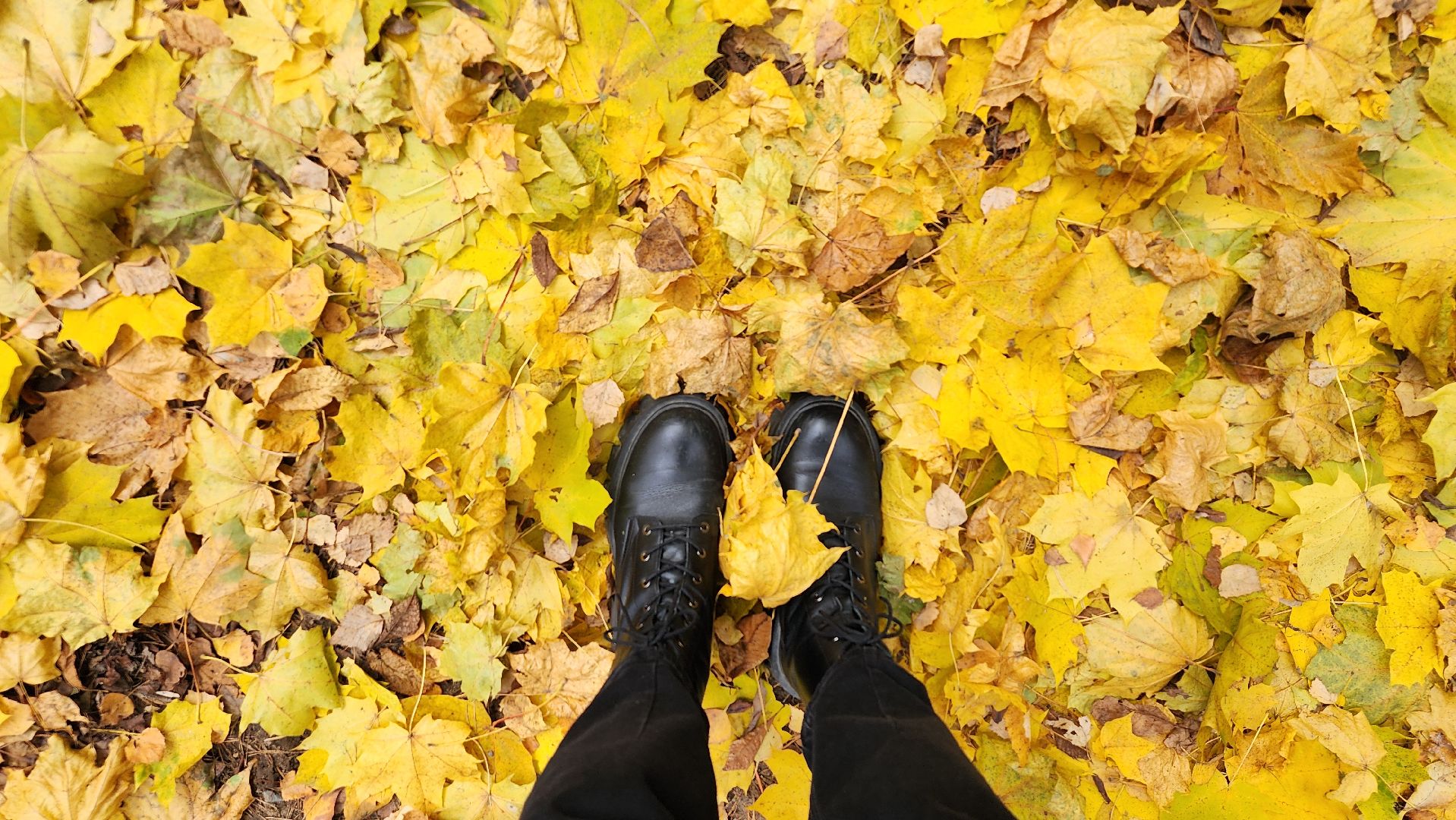 туризм, пешеходный маршрут, Центральный парк, Ногинск, Богородский городской округ,