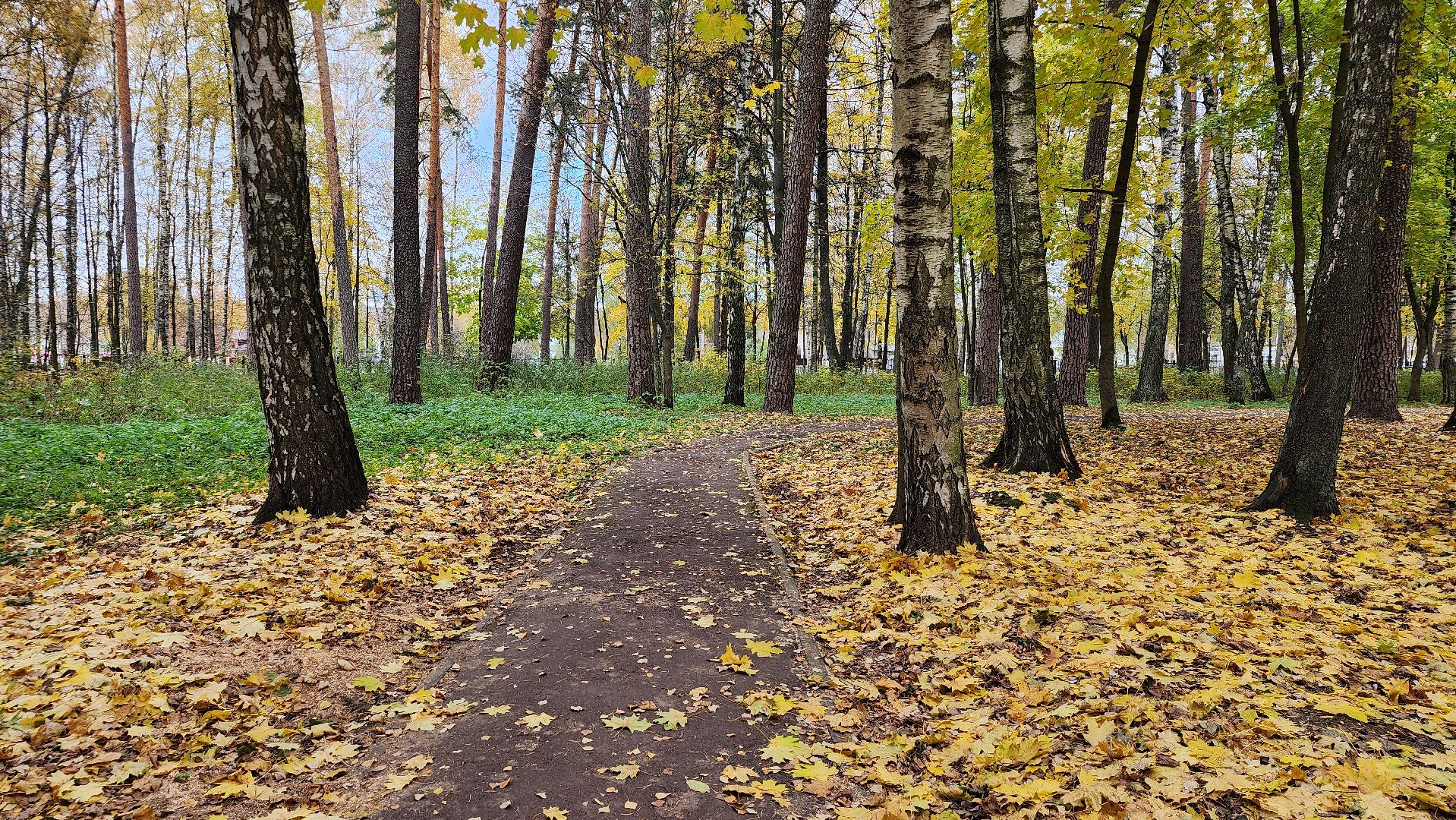 туризм, пешеходный маршрут, Центральный парк, Ногинск, Богородский городской округ,