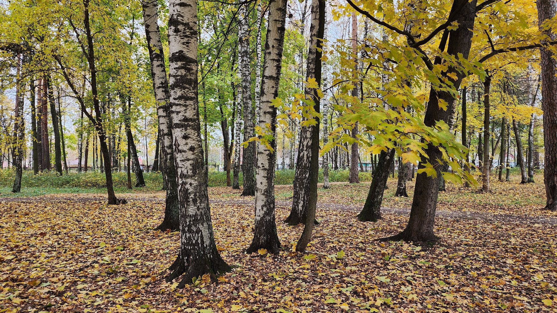 туризм, пешеходный маршрут, Центральный парк, Ногинск, Богородский городской округ,