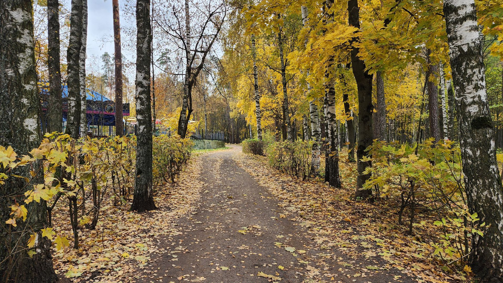 туризм, пешеходный маршрут, Центральный парк, Ногинск, Богородский городской округ,