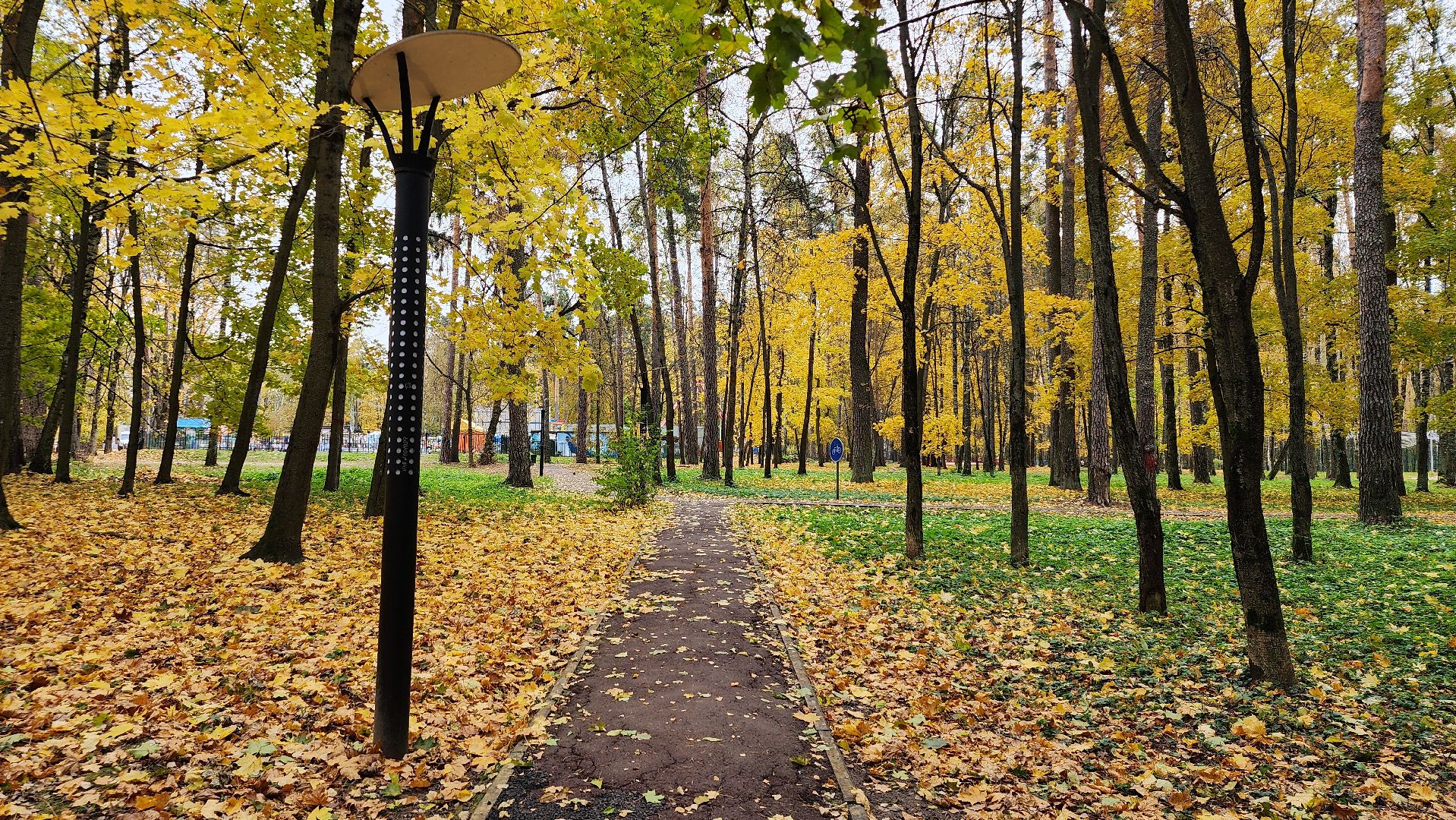 туризм, пешеходный маршрут, Центральный парк, Ногинск, Богородский городской округ,