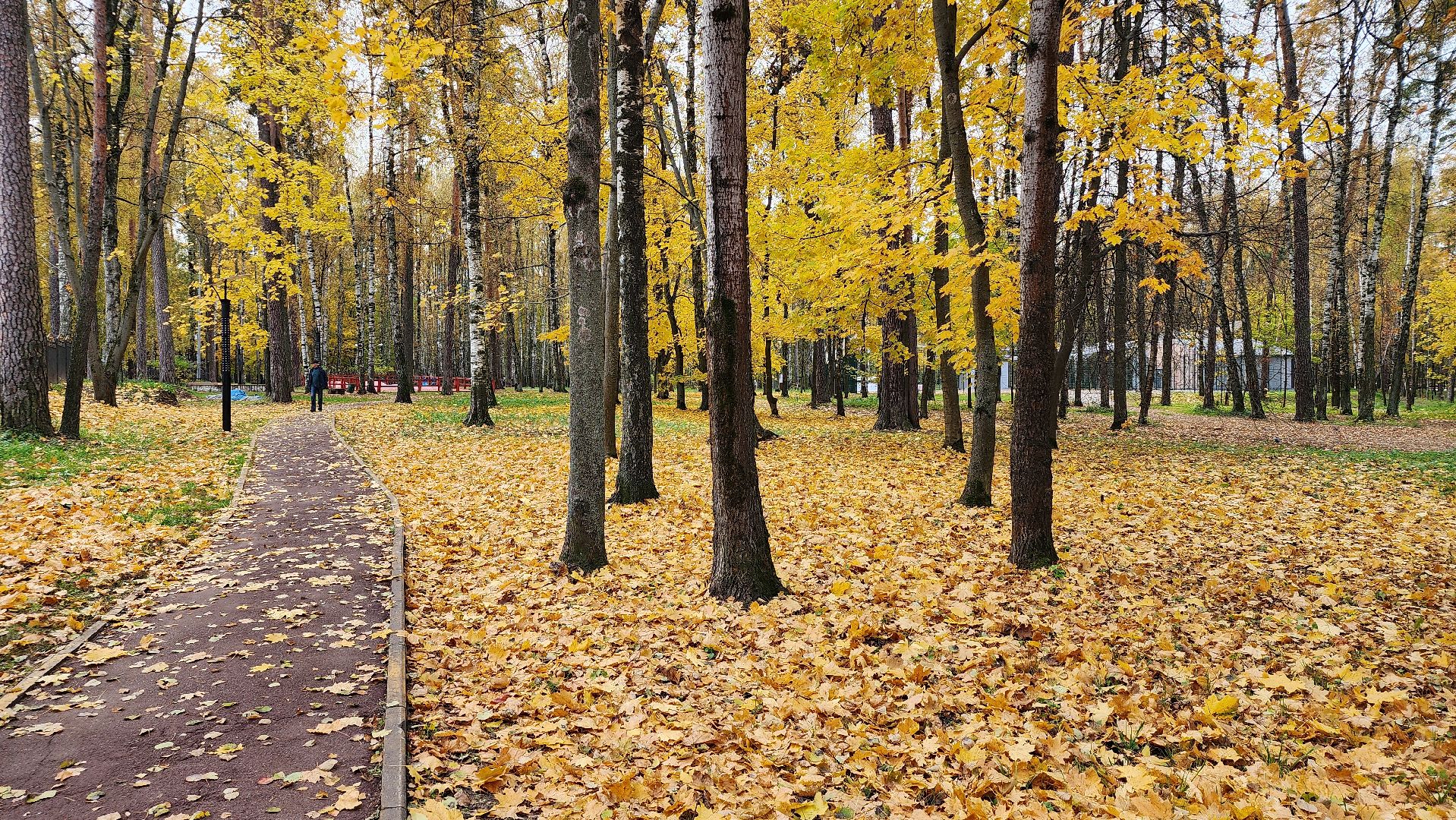 туризм, пешеходный маршрут, Центральный парк, Ногинск, Богородский городской округ,