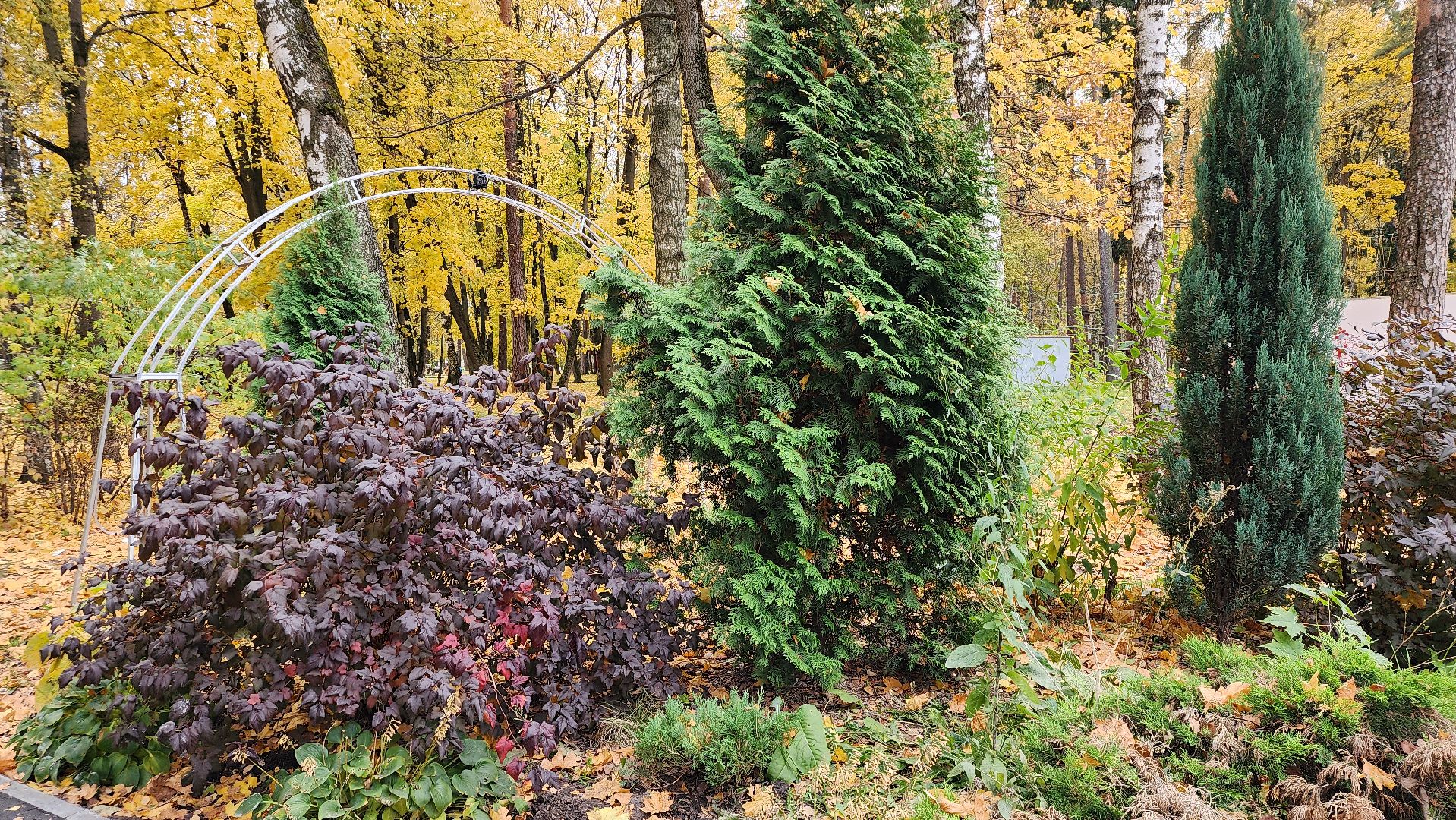 туризм, пешеходный маршрут, Центральный парк, Ногинск, Богородский городской округ,