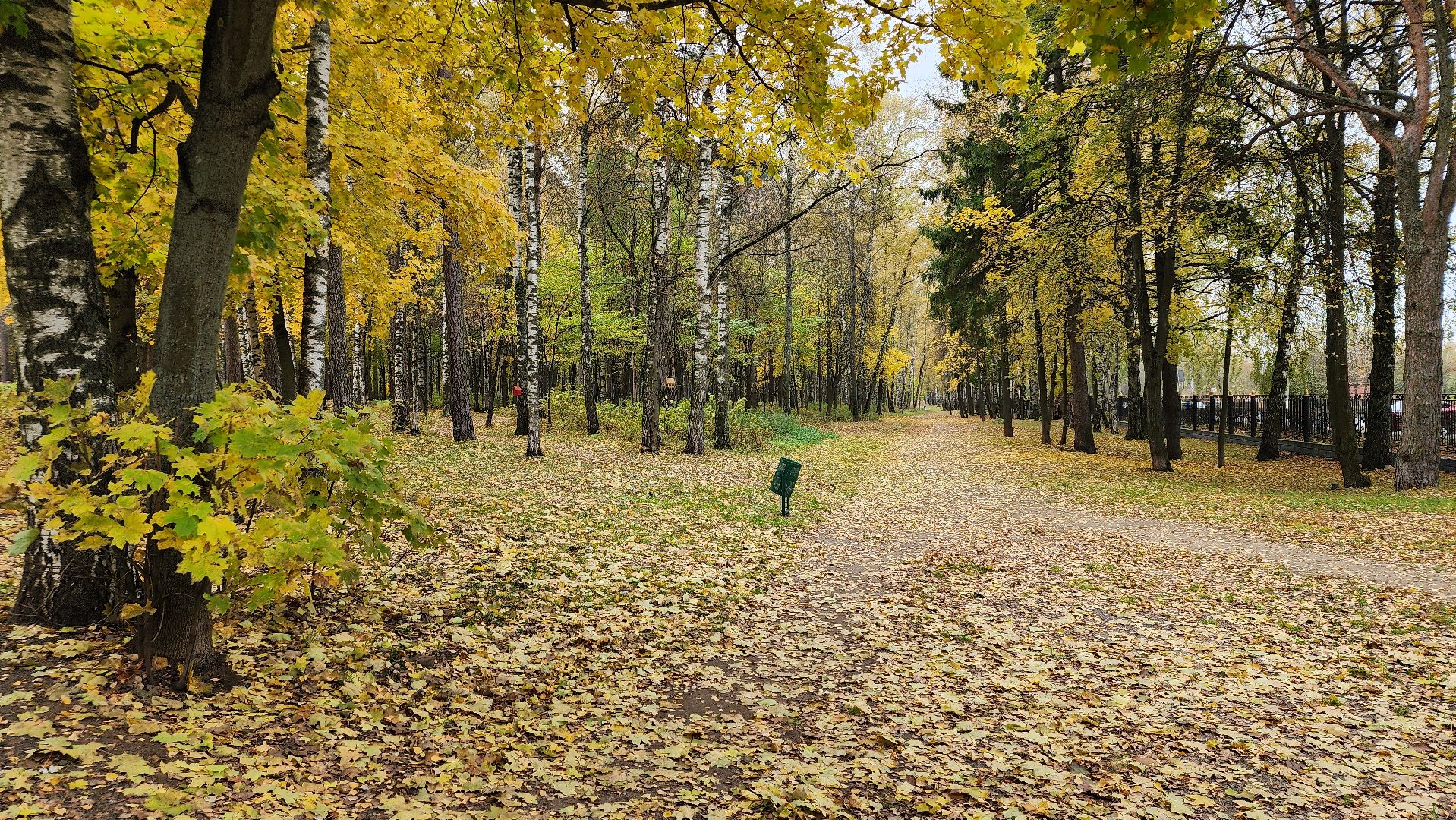 туризм, пешеходный маршрут, Центральный парк, Ногинск, Богородский городской округ,