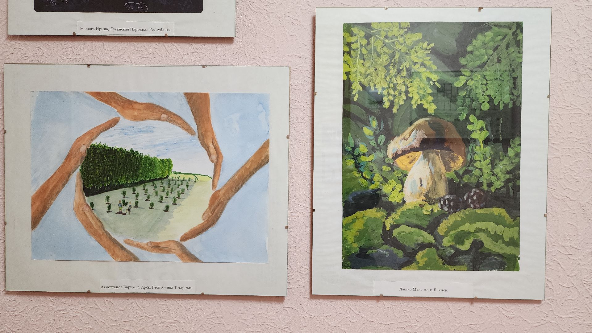 пушкино, леса, конкурс, конкурсы рисунков, дети россии, всероссийский конкурс, экспозиция,