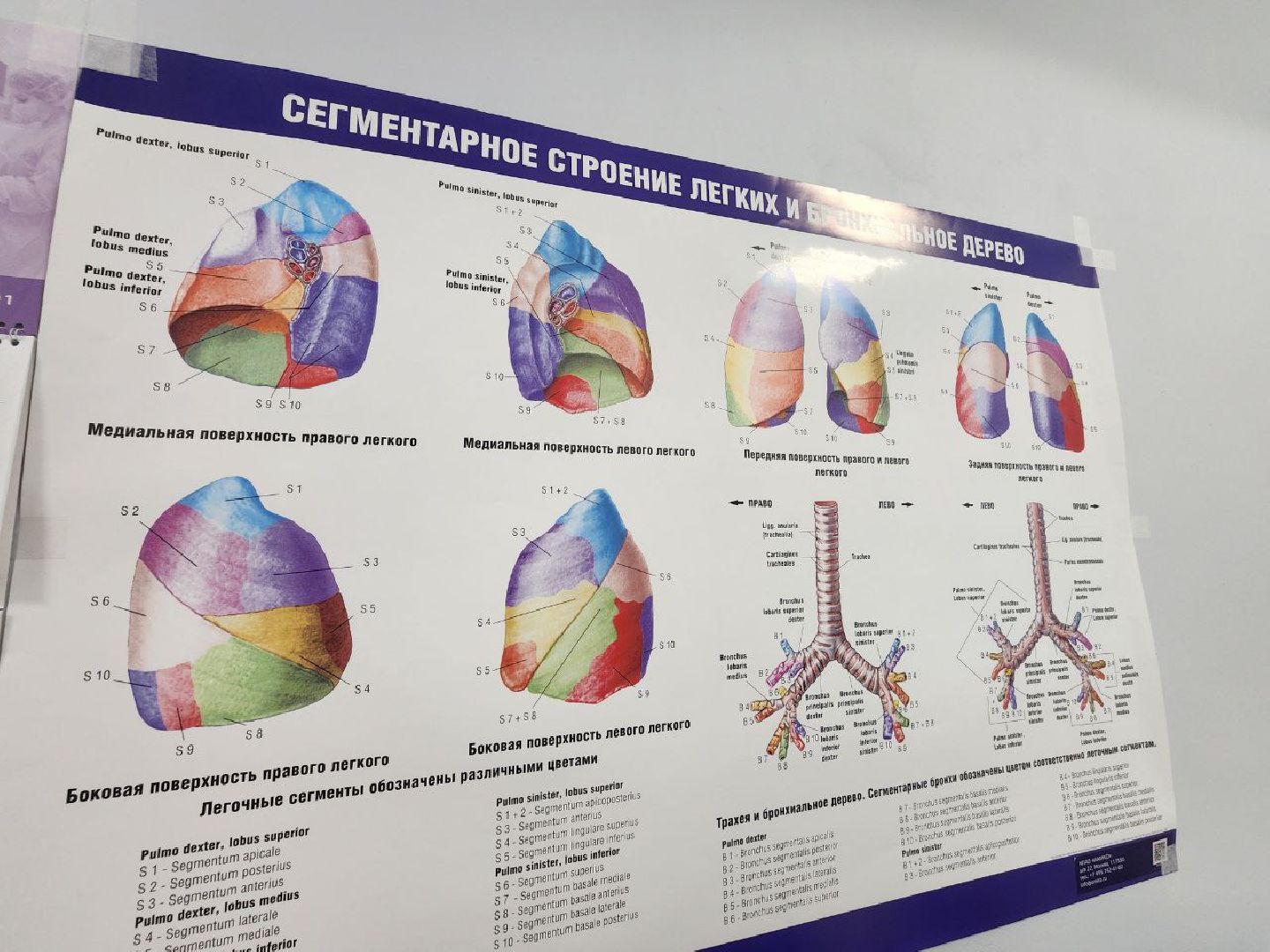 можайск, можайский городской округ, подмосковье, онкологическая помощь, онкология, лапино, Центре амбулаторной онкологической помощи Лапино, день открытых дверей, профилактический осмотр,