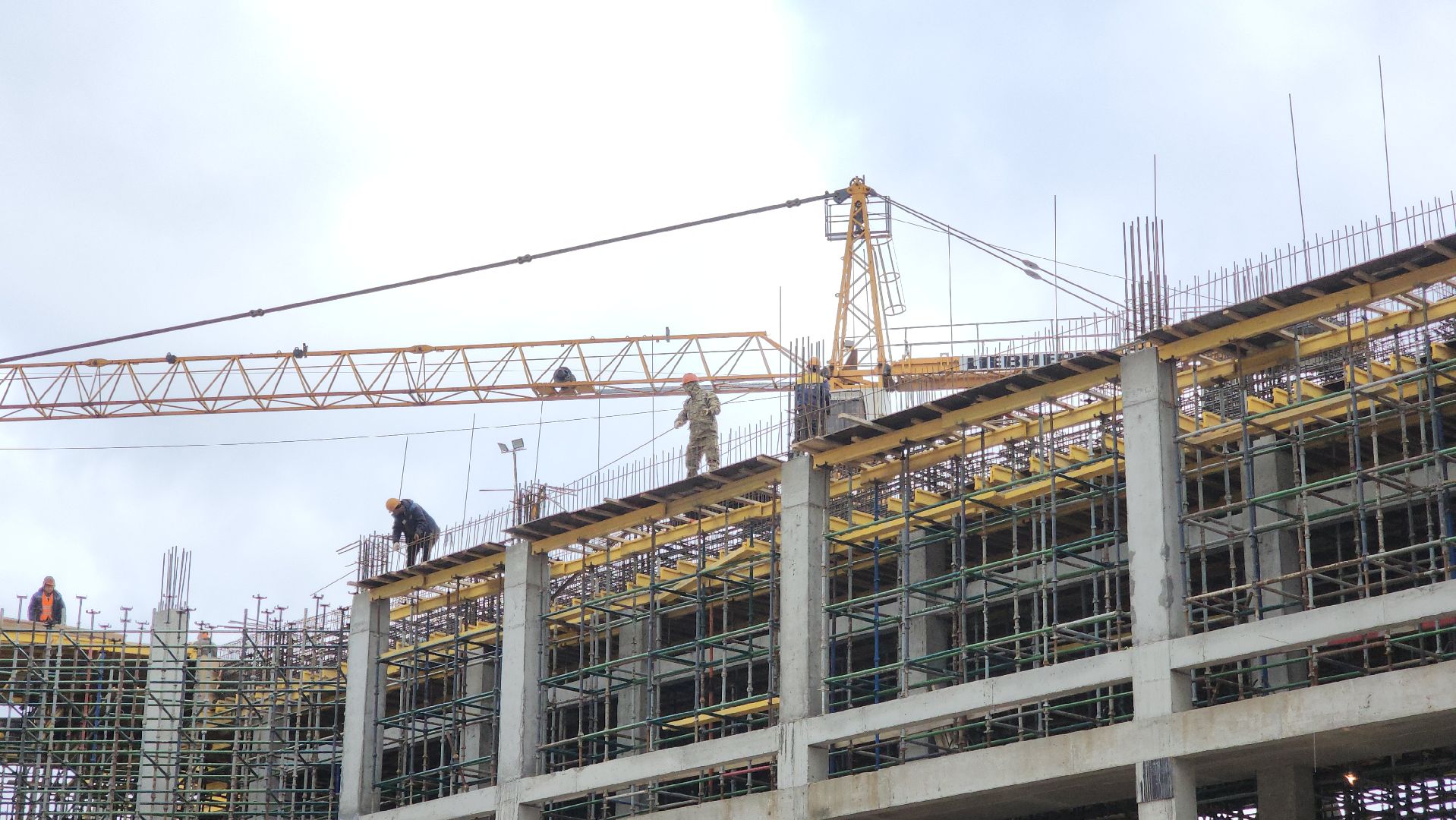 красногорск,