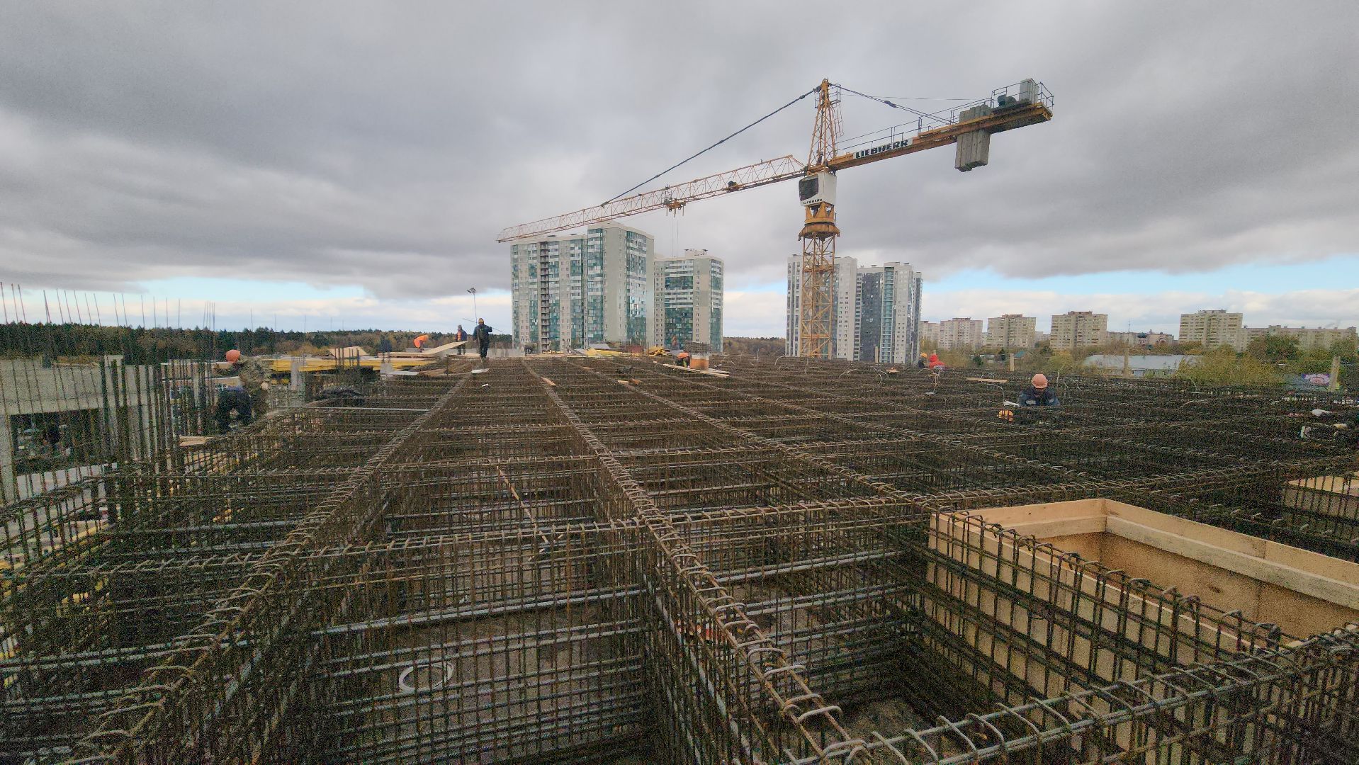 красногорск,