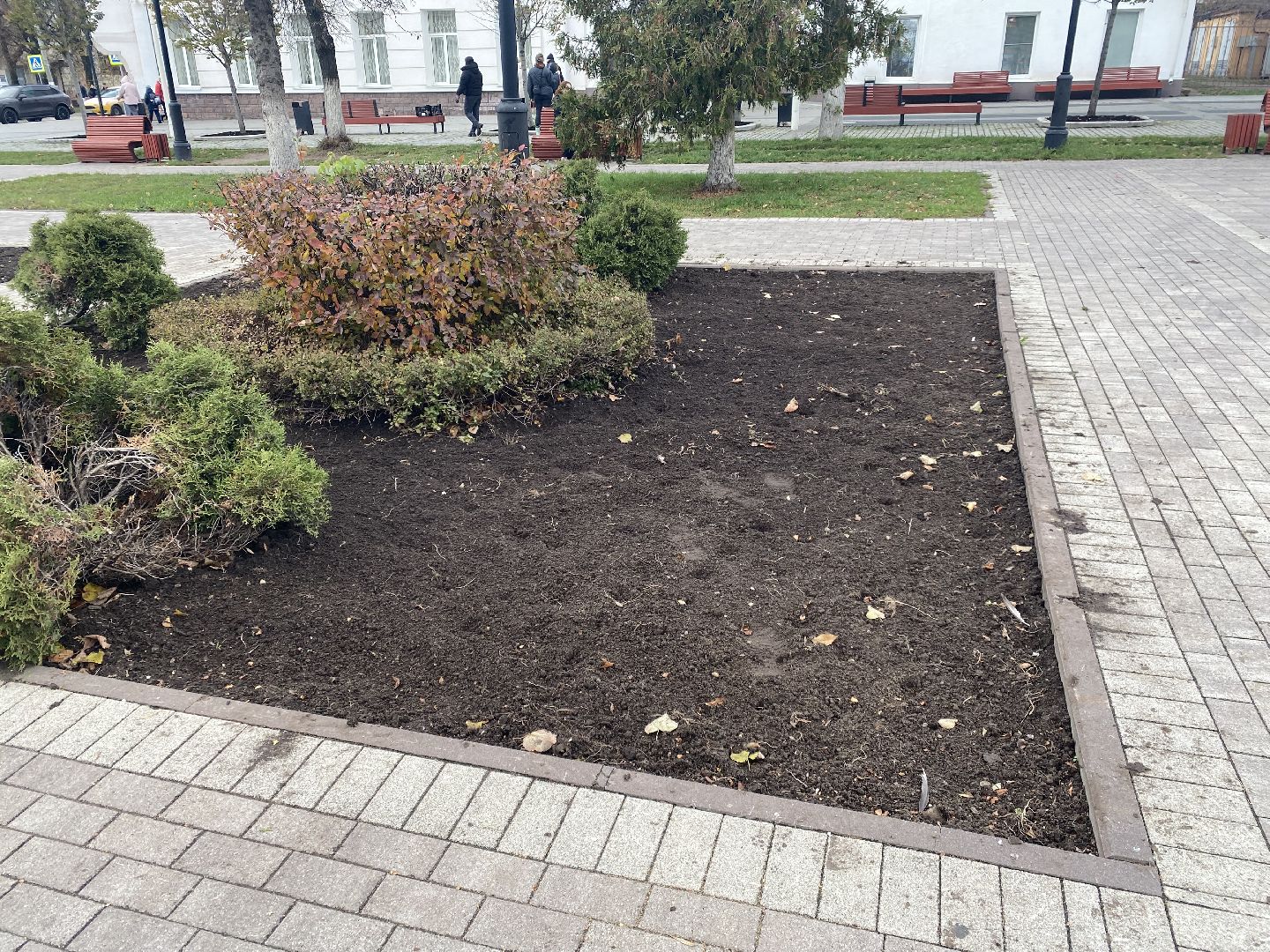 жкх, благоустройство, истра, цветы,