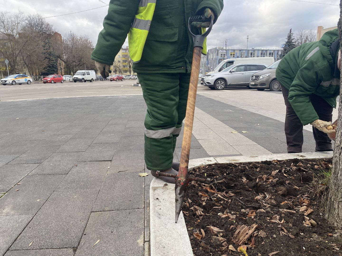 жкх, благоустройство, истра, цветы,