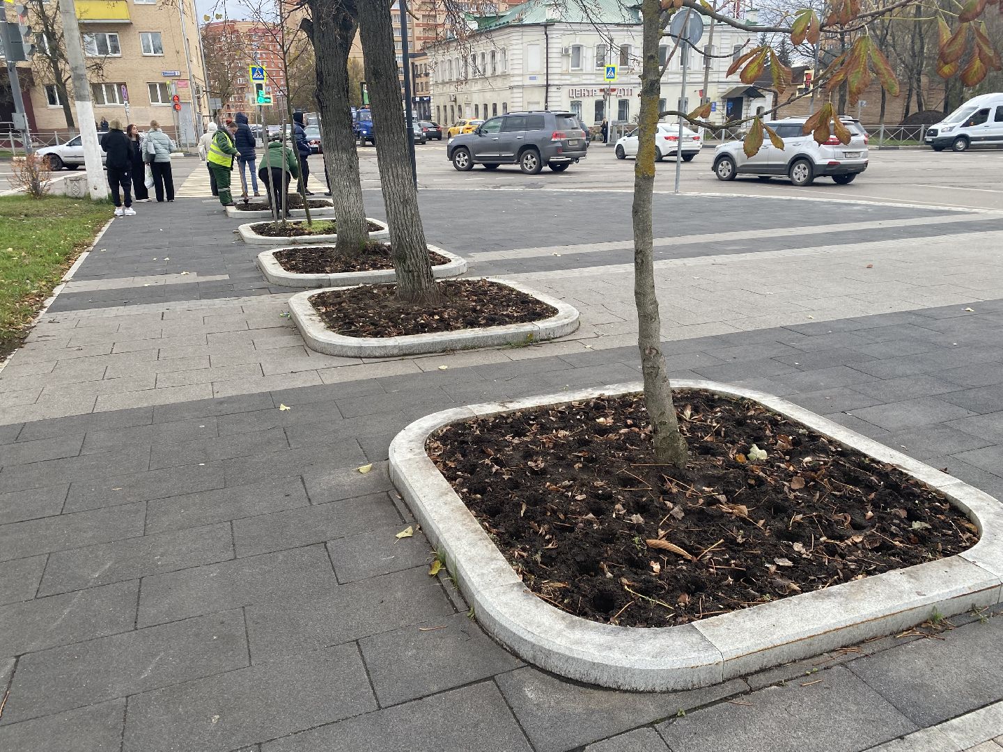 жкх, благоустройство, истра, цветы,