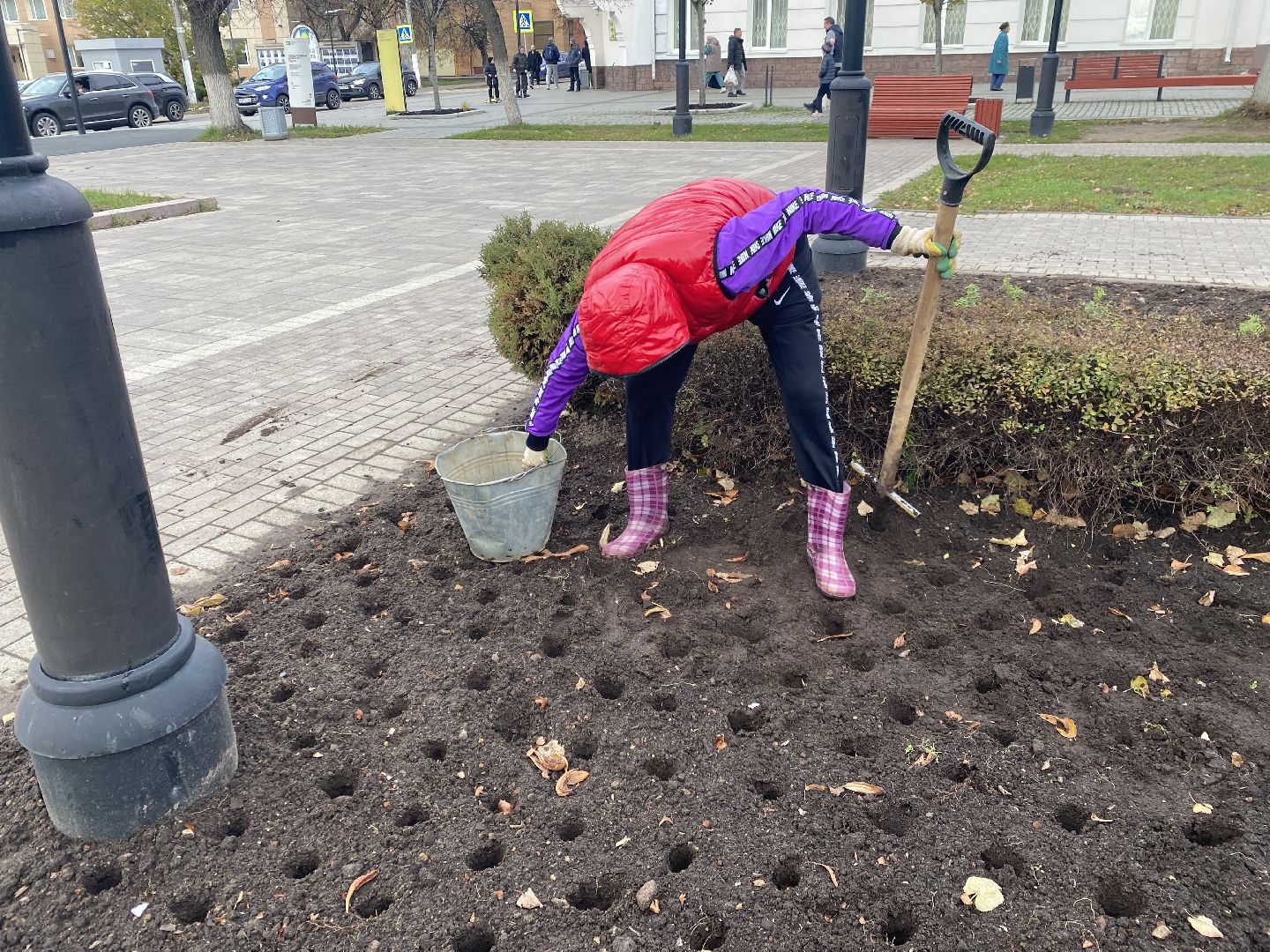 жкх, благоустройство, истра, цветы,