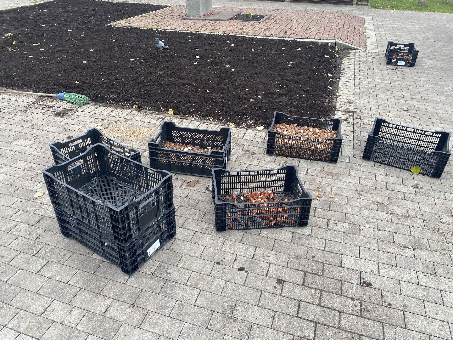 жкх, благоустройство, истра, цветы,