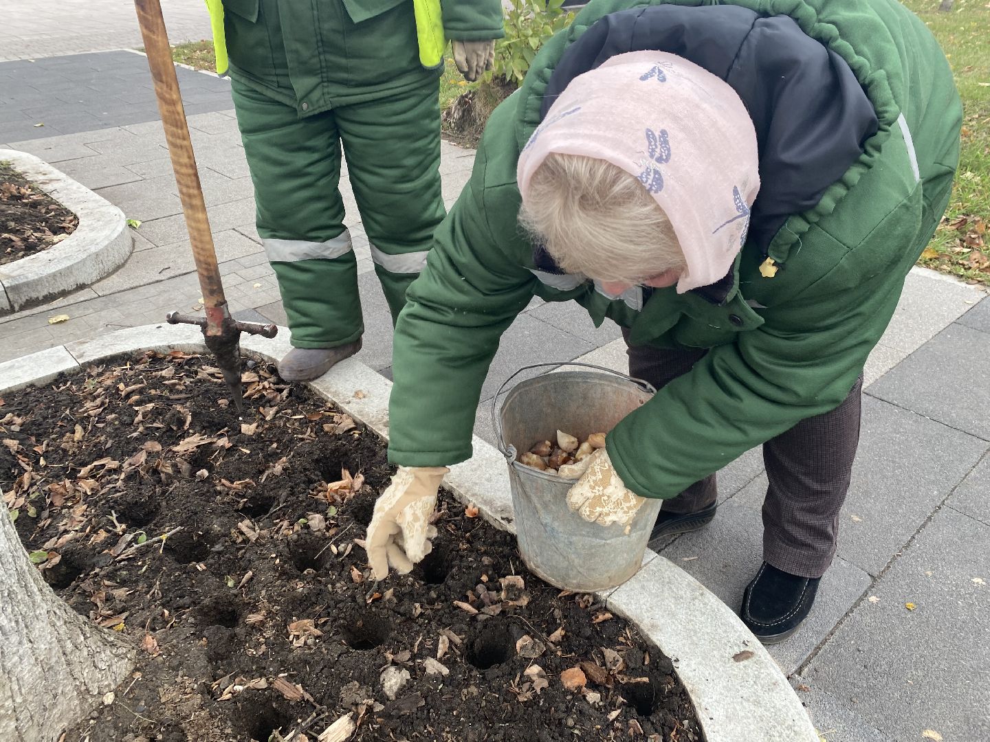 жкх, благоустройство, истра, цветы,